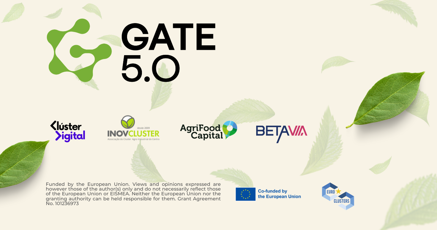 Aicinām MVU pretendēt uz GATE 5.0 finansējumu un akselerācijas programmu