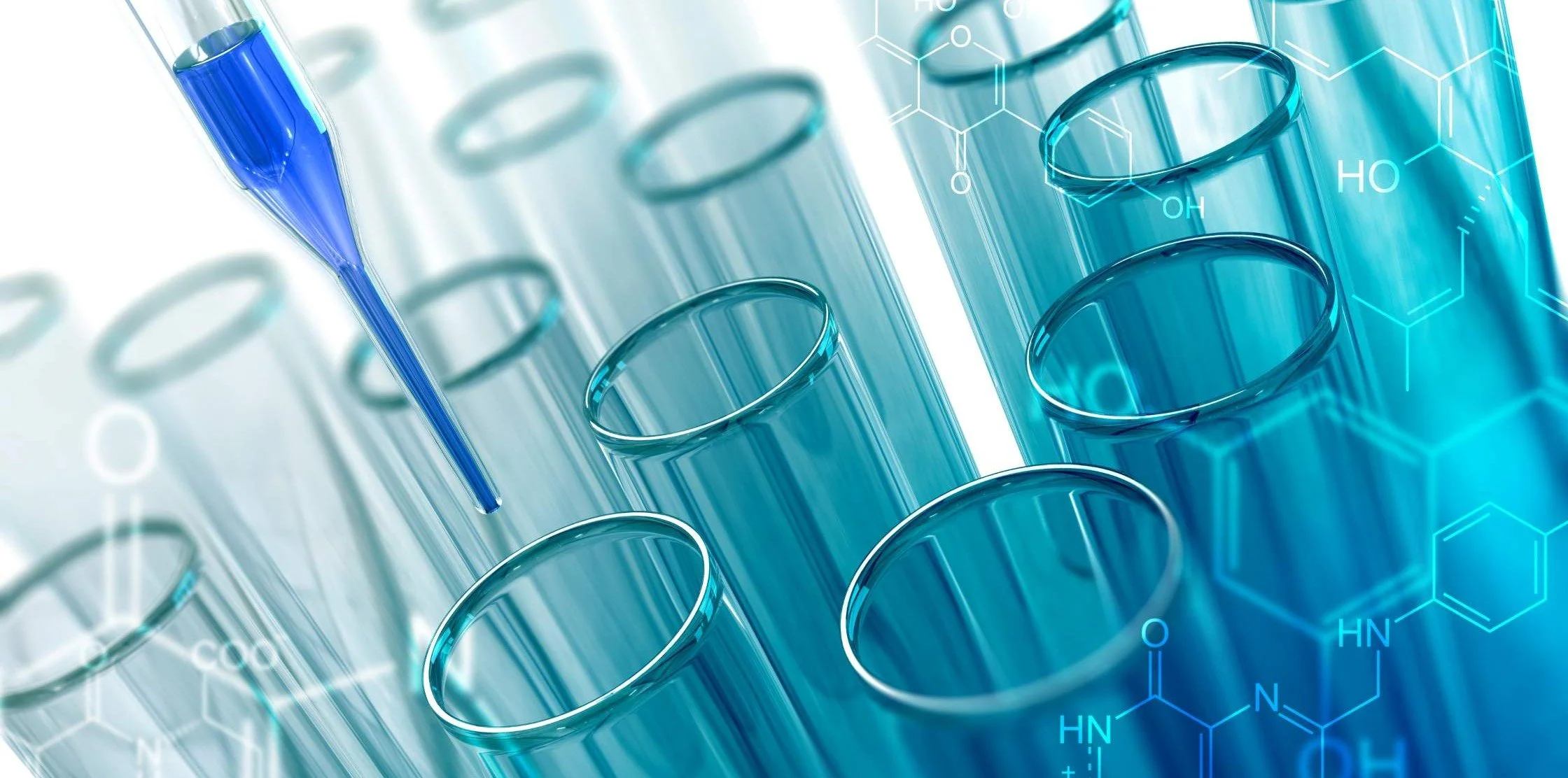 Hibrīda kontaktbirža "EU-Japan Biotech & Pharma Partnering Conference 2026"