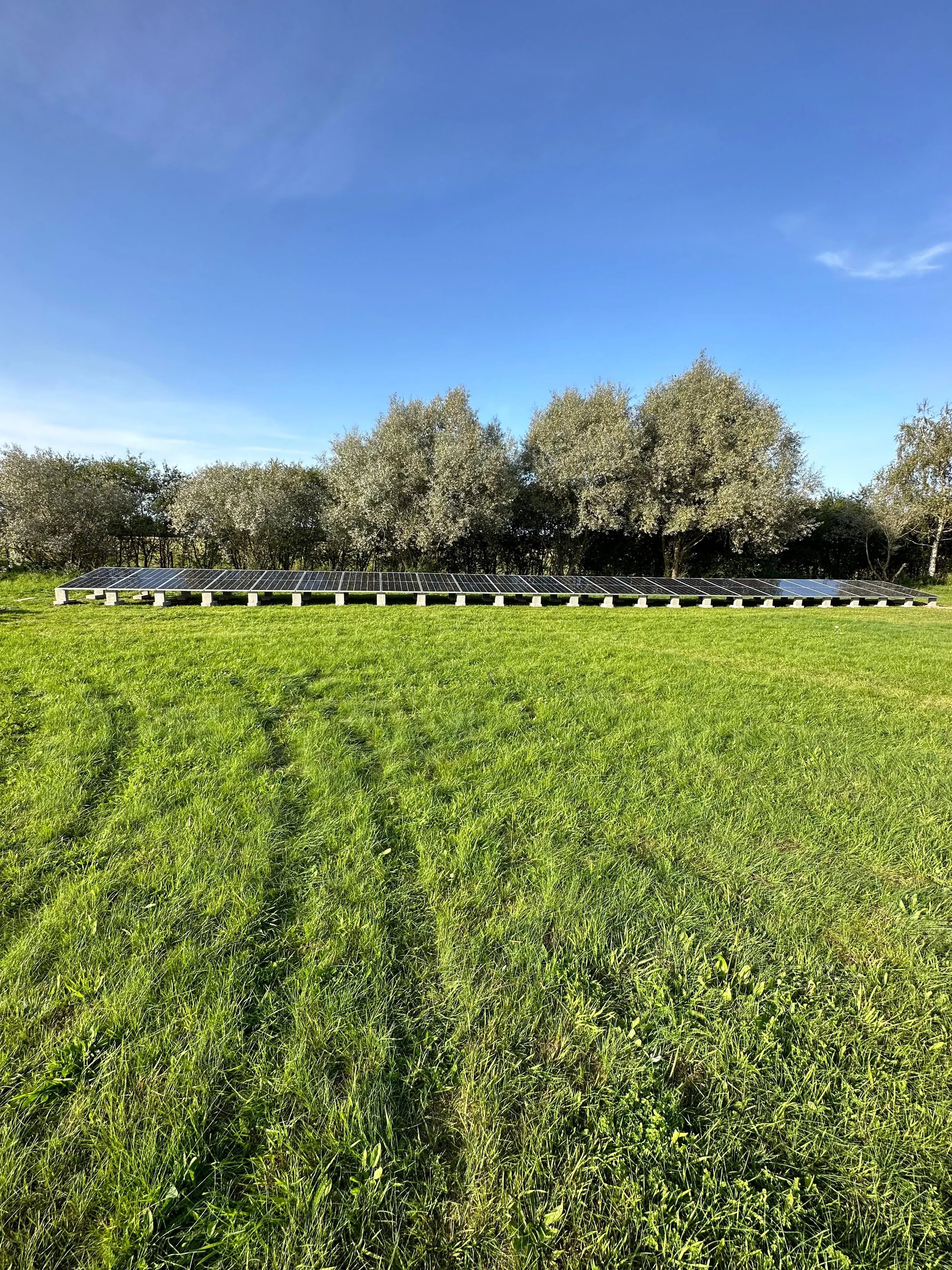 3ff0c88f-2e60-40ca-8f42-77bdcfccfb69 2.JPG