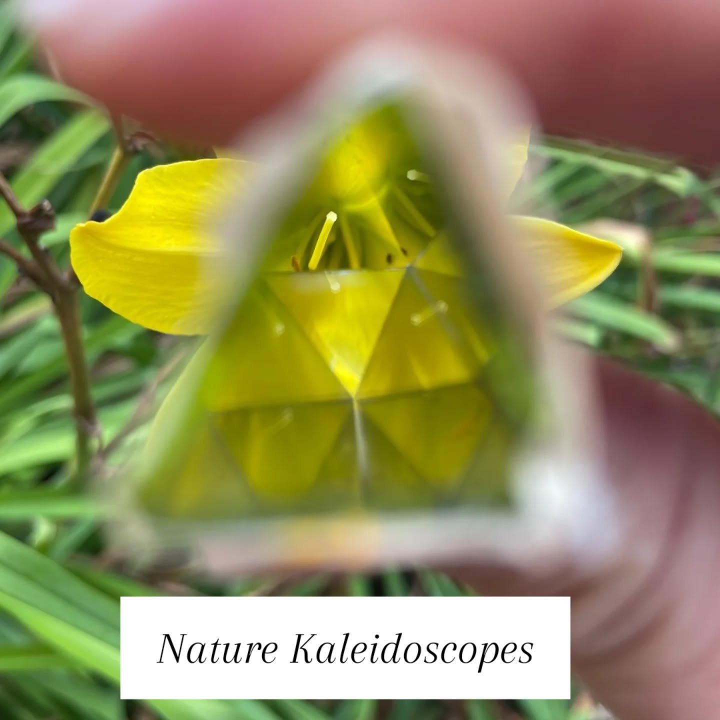 I had the absolute pleasure of teaming up with my wonderful friend and former colleague @Jess_joyson from RHS! We spent the day exploring the intersections of nature, science, technology, and robotics as we prepare for an exciting creative training s