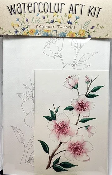 Cherry Blossoms