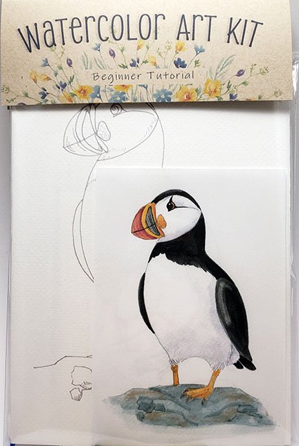Atlantic Puffin