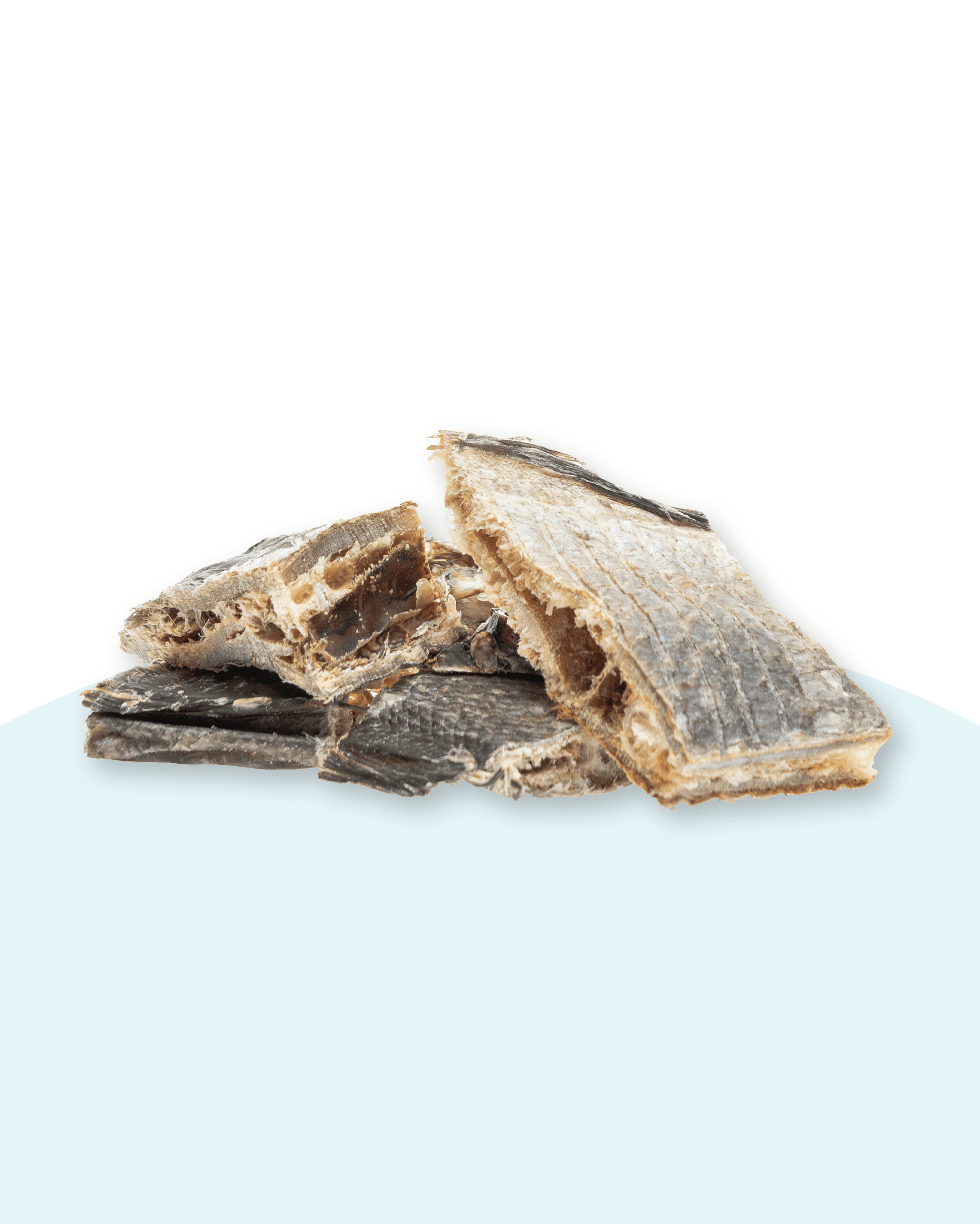 vitbit_fish_snacks_100g_produkt.png