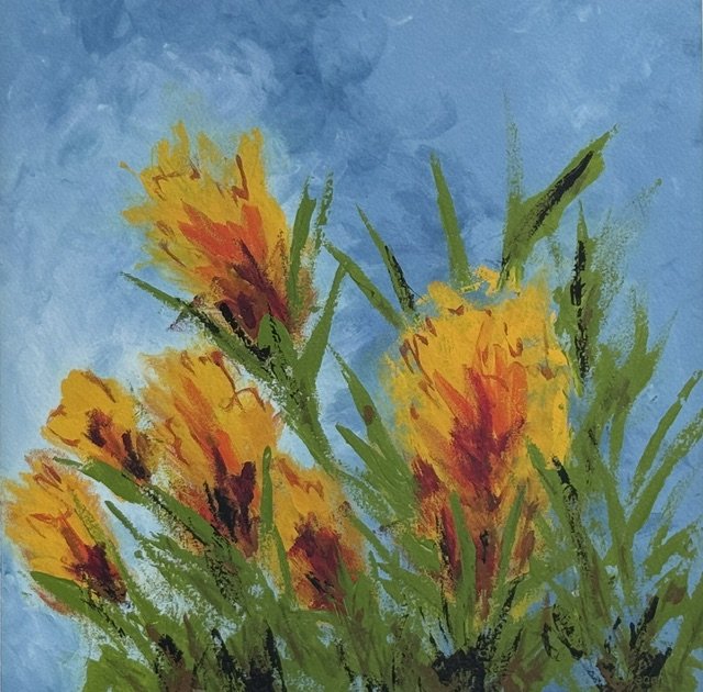Banksias - Prints on Paper