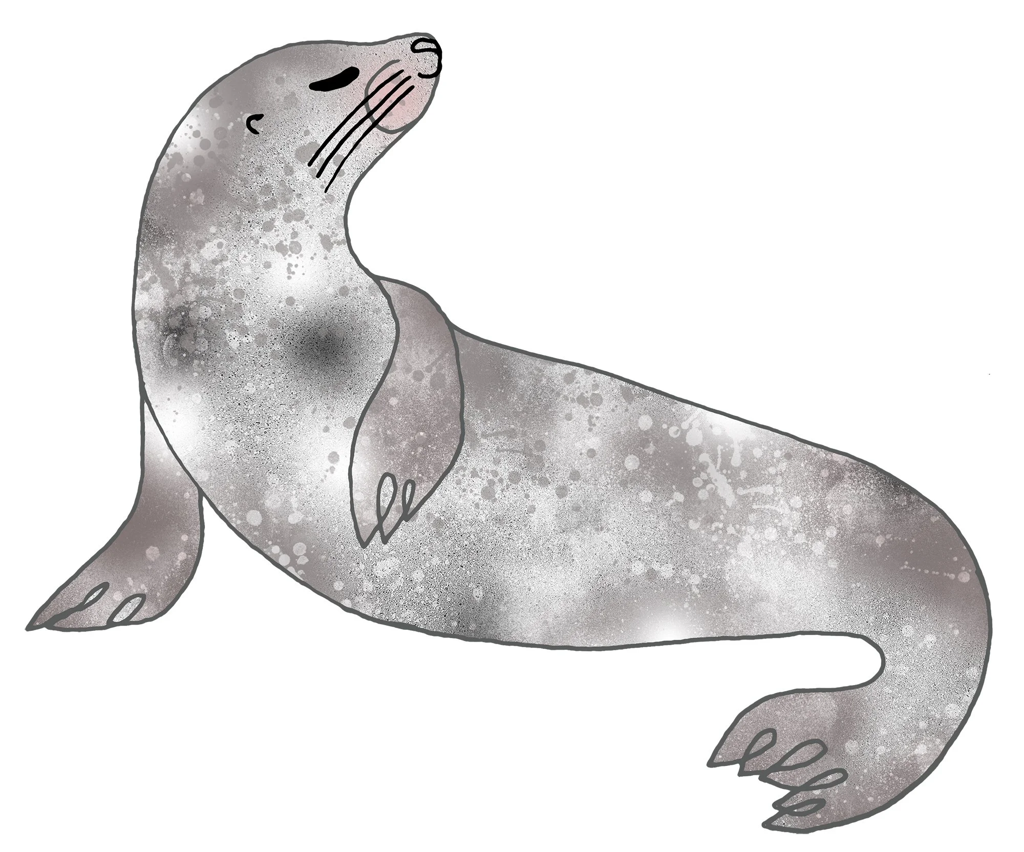 seal_flat copy.jpg
