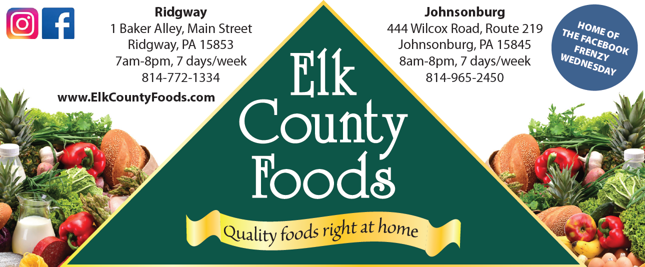Silver Sponsor