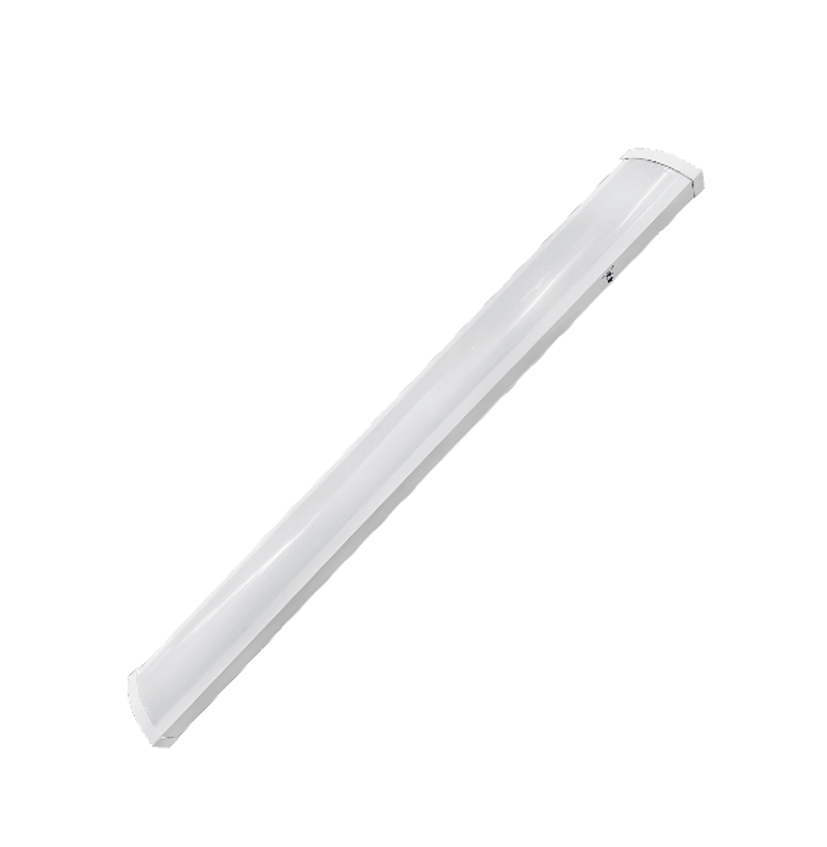 WRAP1.png