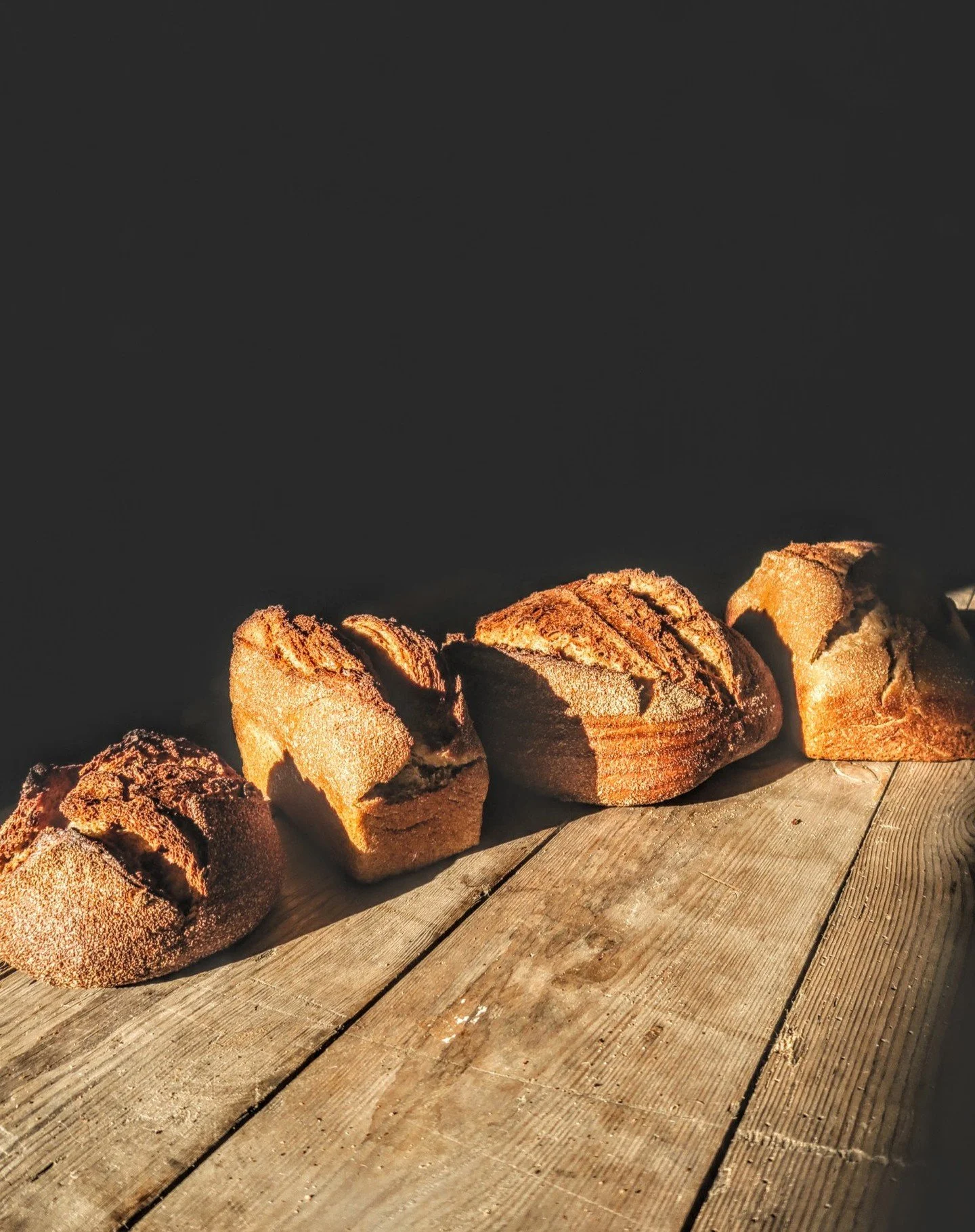 Today&rsquo;s bread.