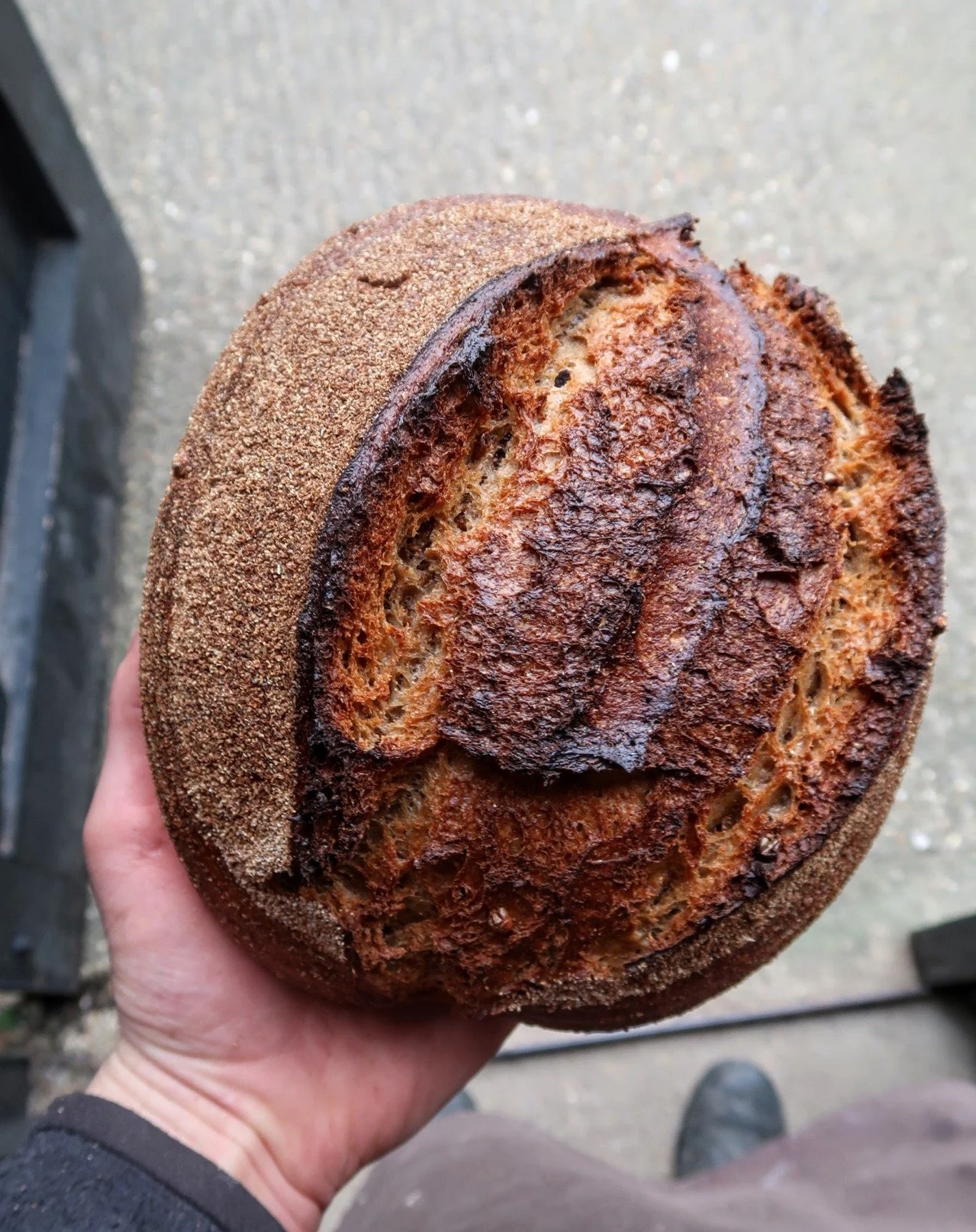 A couple of baked bits! 

Happy to say I now deliver bread every Friday to @primroseorganicproduce, @tokes.farm and @ludwell_food! As well as of course to @chettle_village_store on both Tuesdays and Fridays.