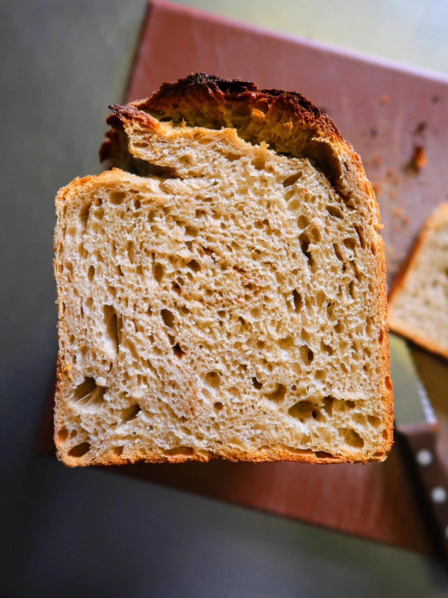 Introducing our Tue South West White Loaf. 

We make this bread with 100% true south west white flour.  We are very lucky to be able to use this incredible flour grown by the south west grain network. A blend of population wheats that are chosen to g