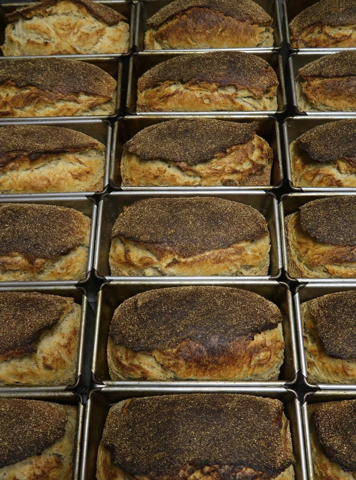 Our true south west white sourdough loaf. Always evolving and changing with the wonderful flour from the @swgrainnetwork

I love working with this flour, being part of the network, hearing which farmer each batch of flour is from and which is more th