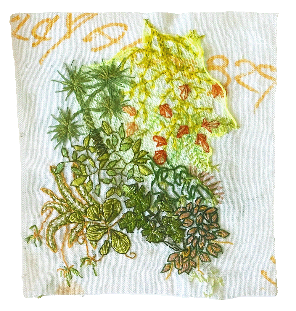 embroidery_jungle01.png