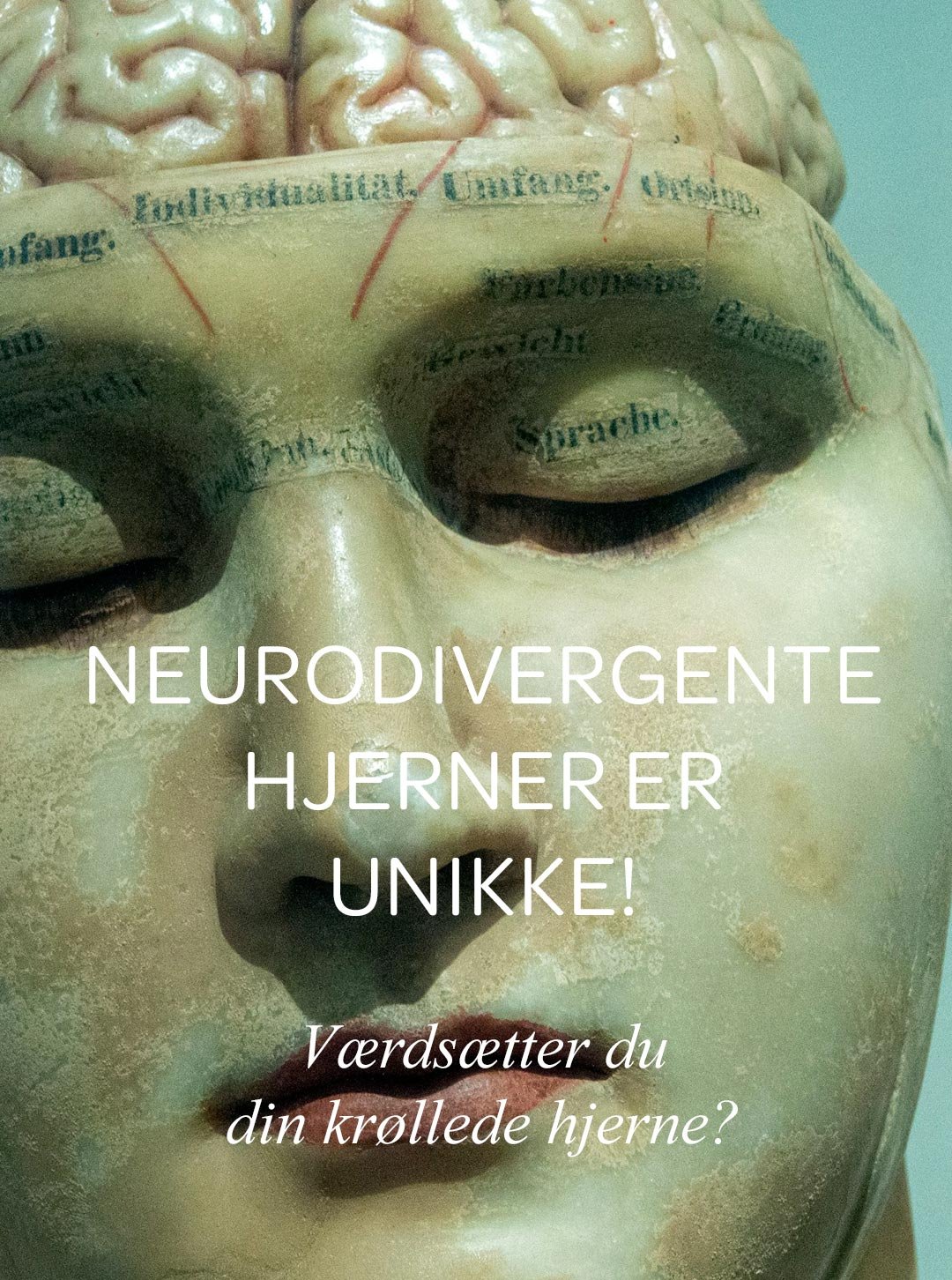 neurodivergent_some02.jpg