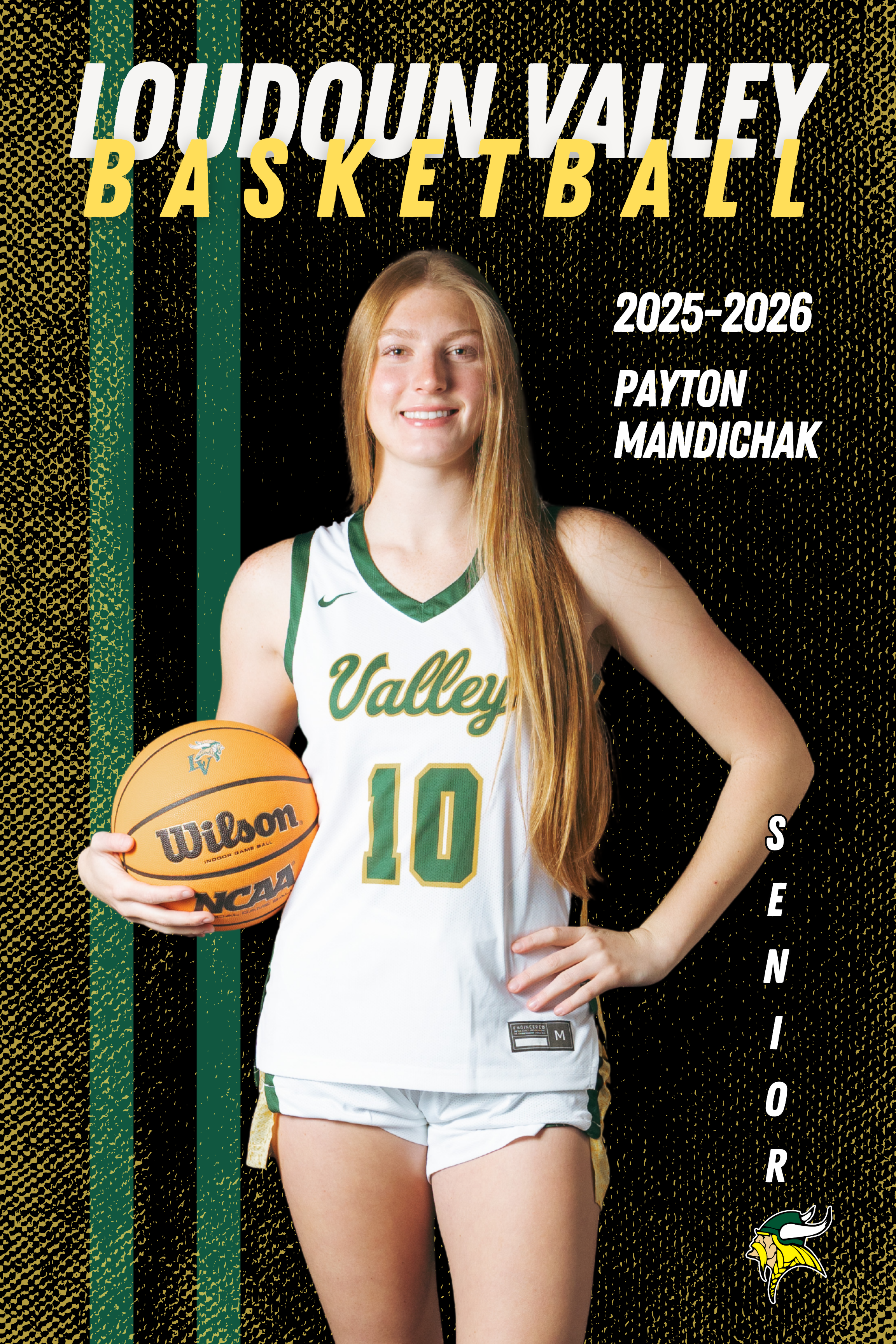 Valley Girls Basketball Senior Banners.png