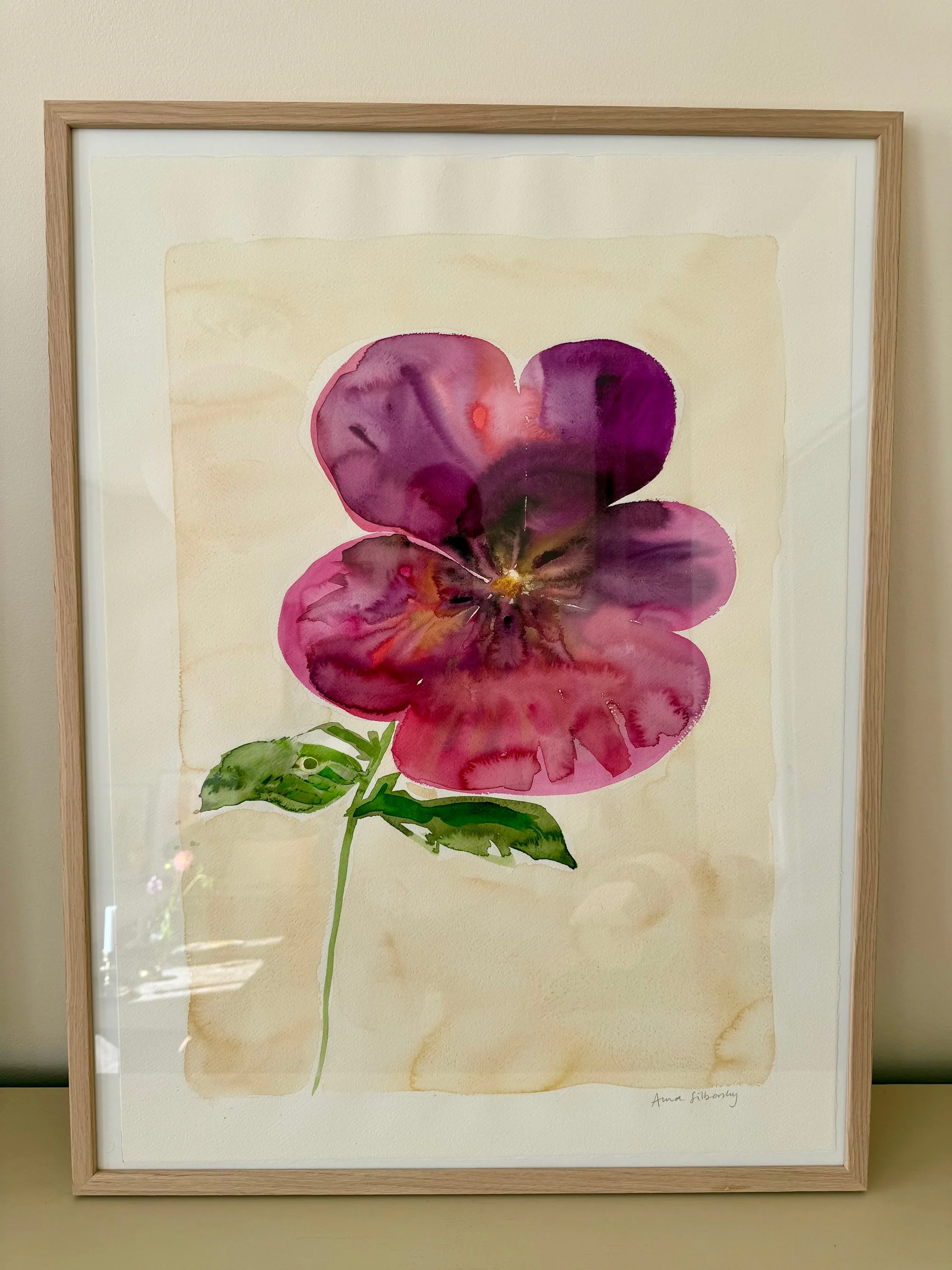 Pink-viola.jpg