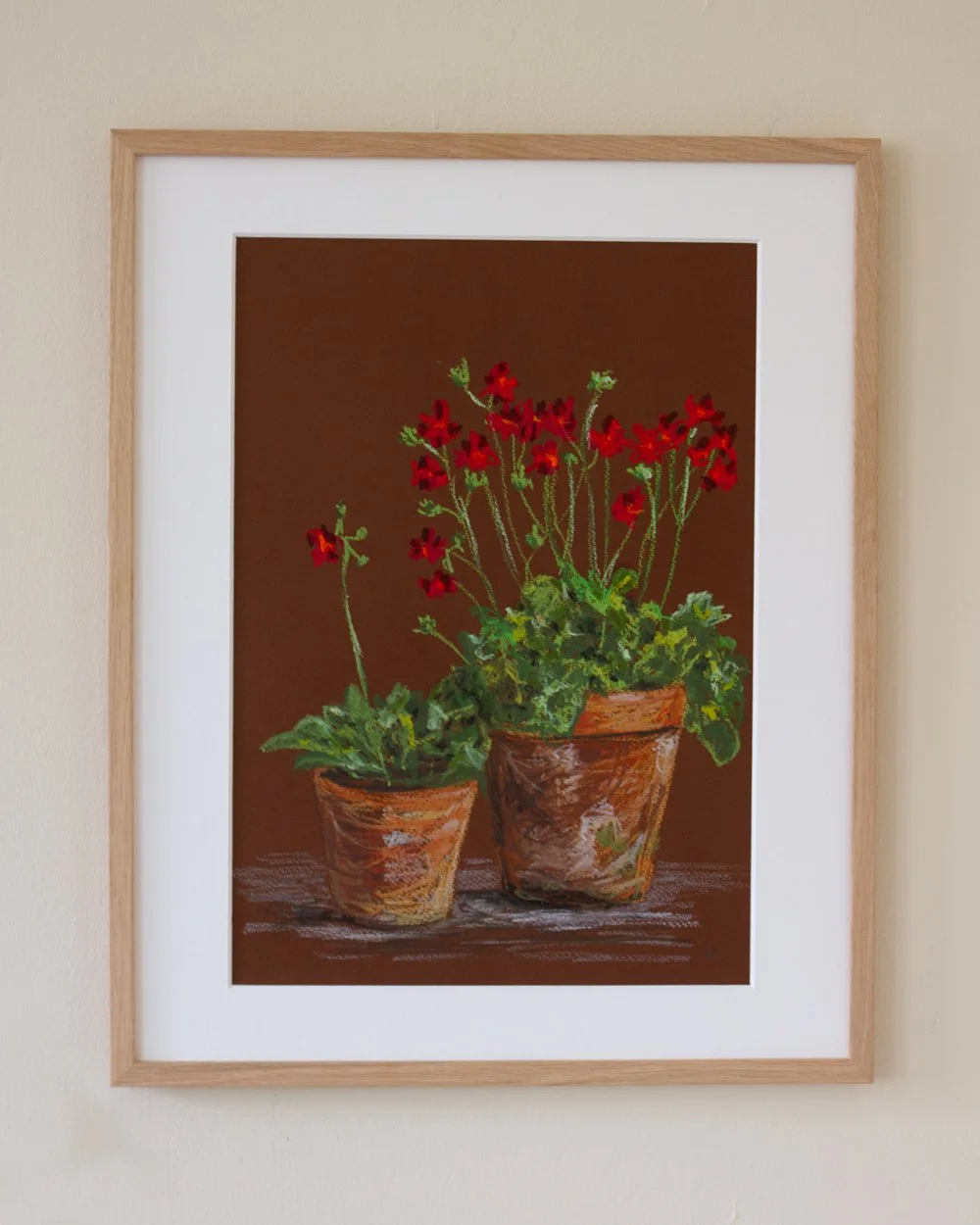 Red Geranium