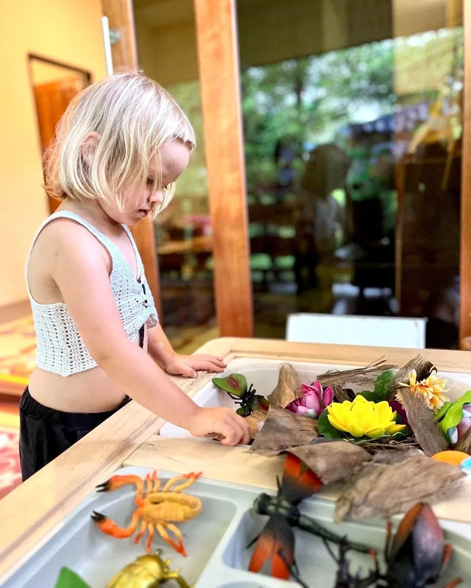 🪲Exploring Insects Through Play 🐞

Today, our curious little learners enjoyed discovering the names of different insects using a set of colourful toy bugs. 

Through hands-on exploration, the children learned to observe, recognise, and name various