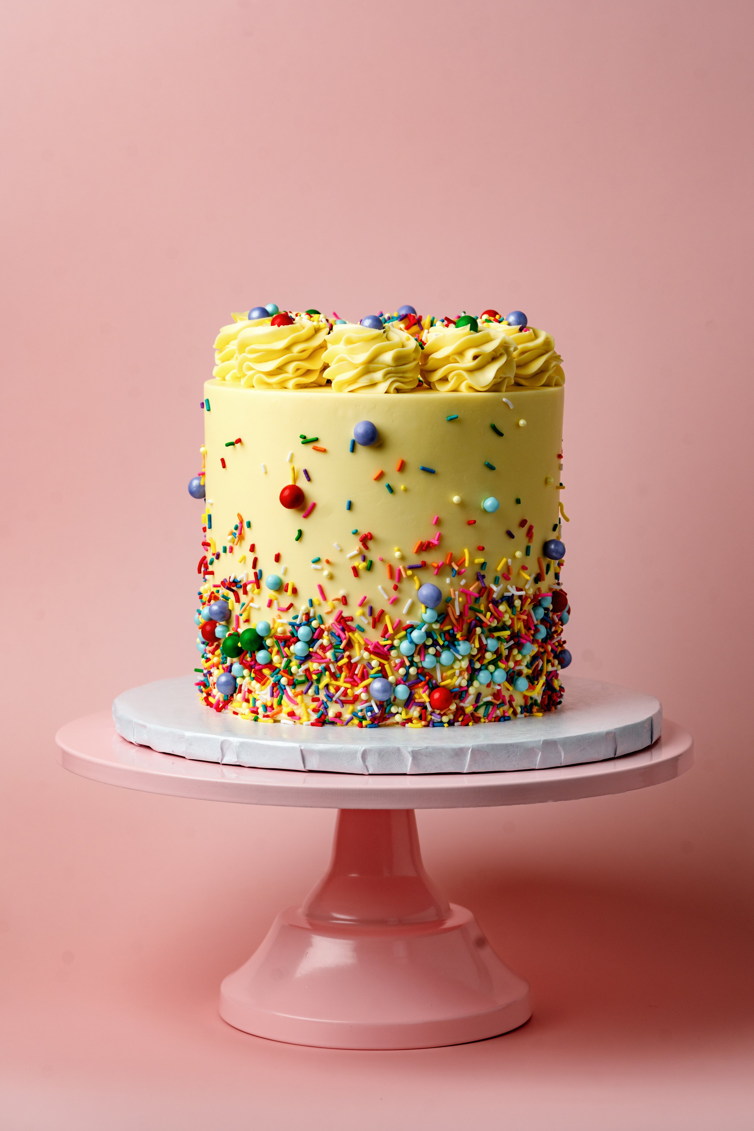 ECBG Cake Studio Custom Chicago Bakery Cakes Sprinkle Party 1.jpg