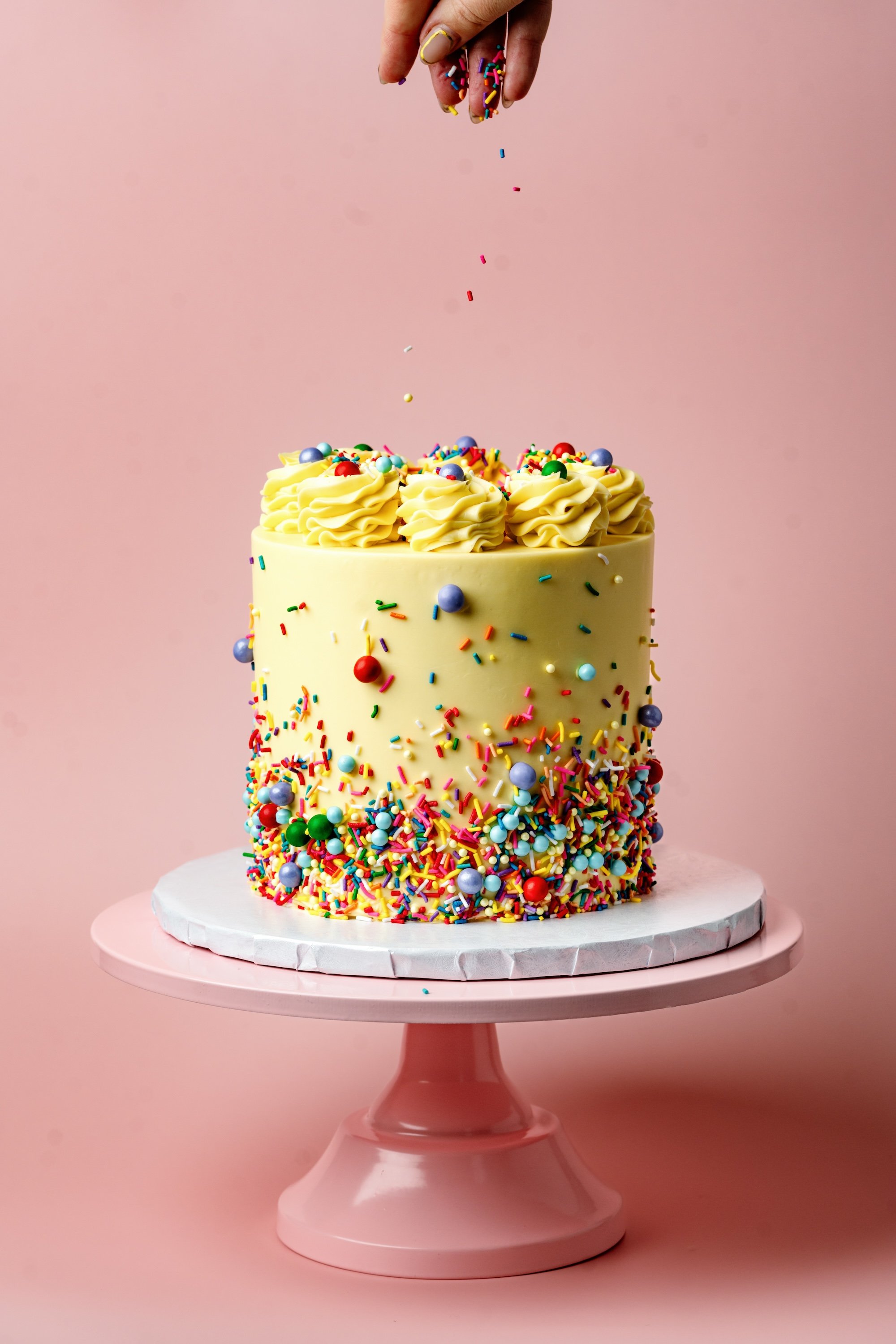 ECBG Cake Studio Custom Chicago Bakery Cakes Sprinkle Party 7.jpg