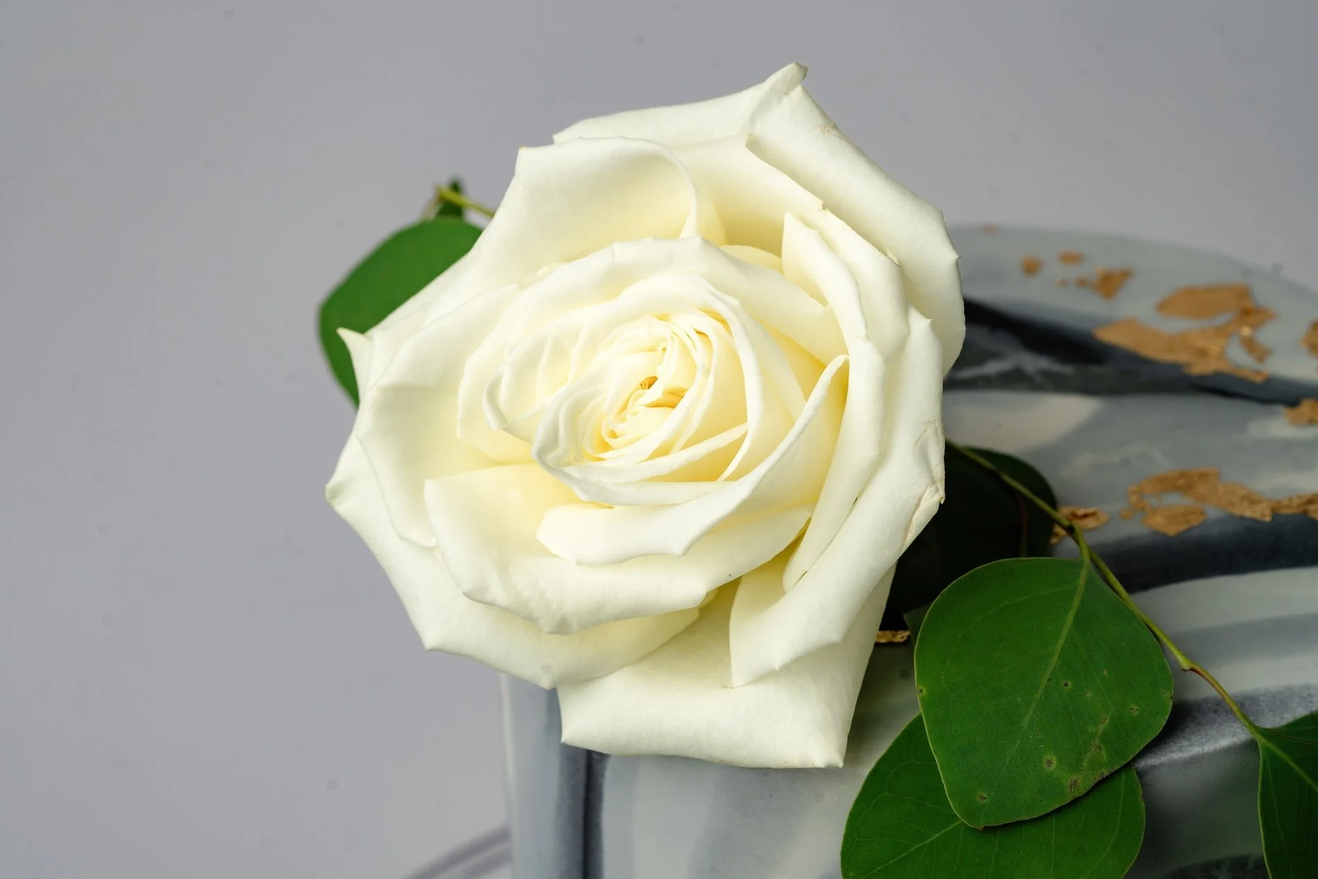 ECBG cake studio close up of a cake with a white rose on it