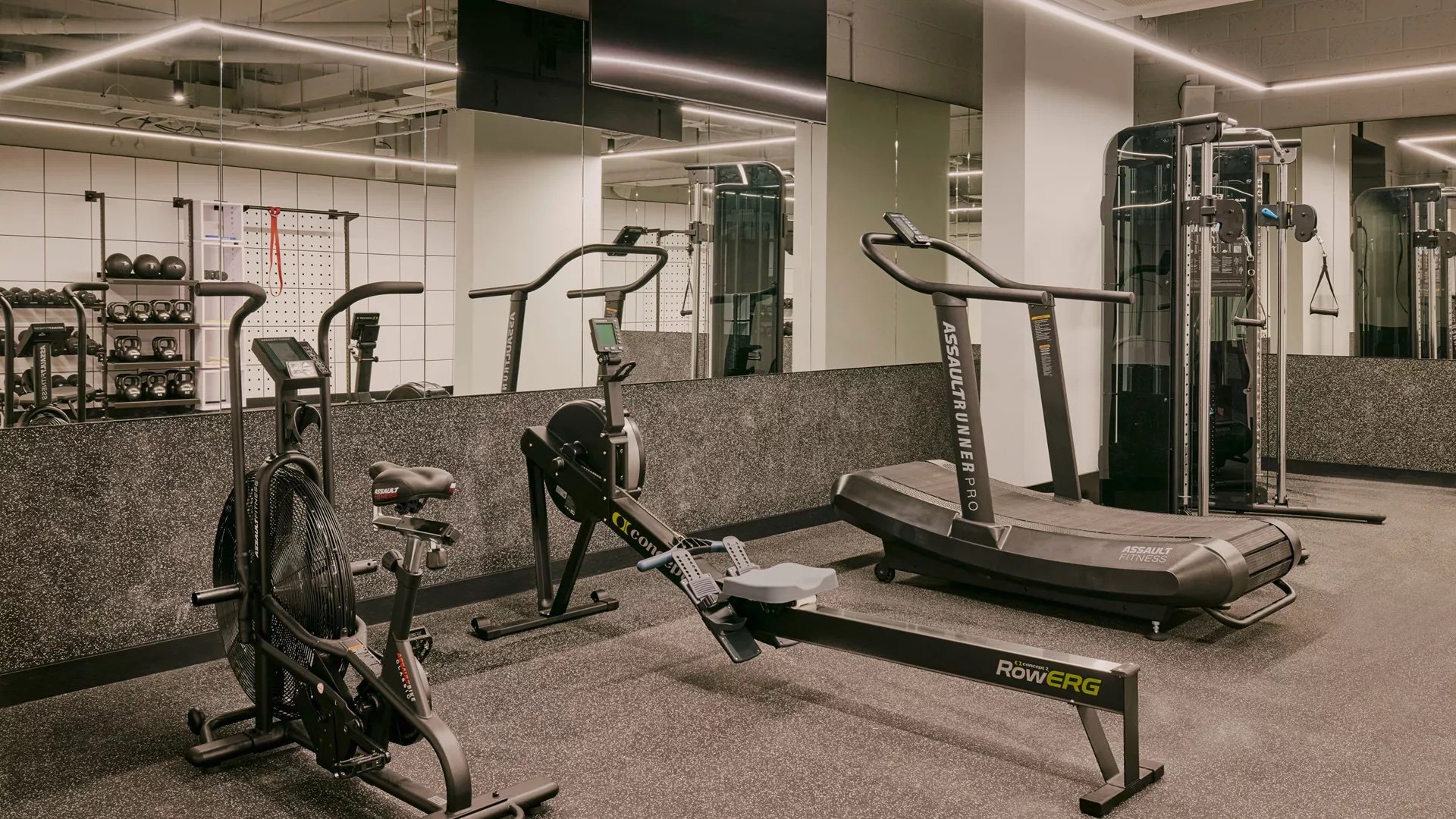 Ember Locke - Gym.jpg