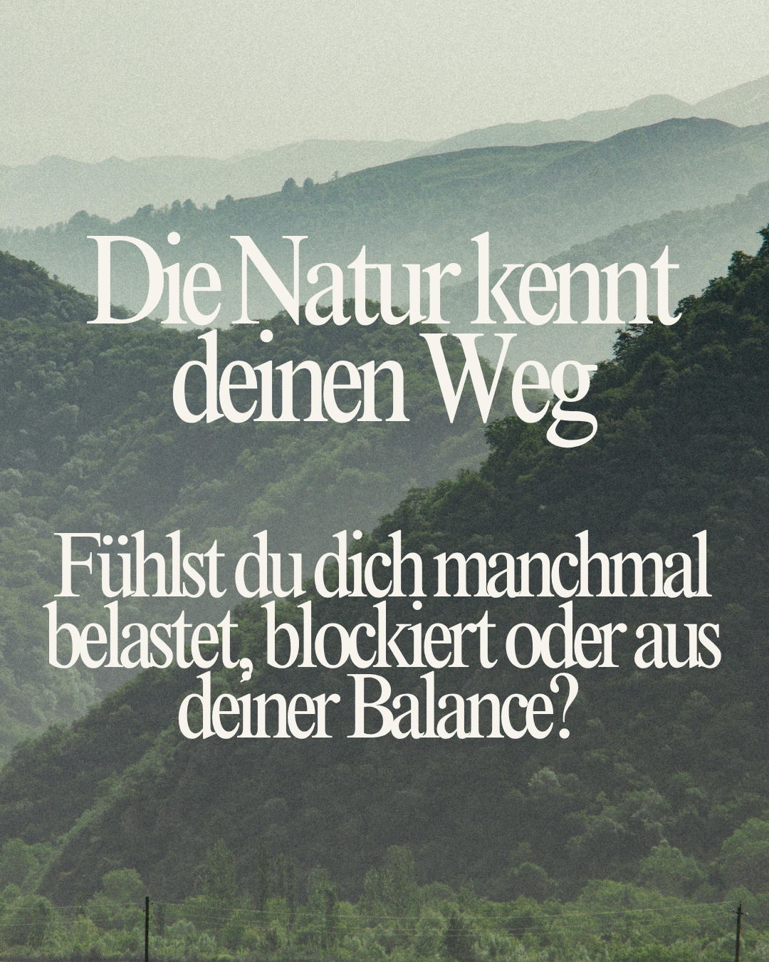 Die Natur kennt deinen Weg (Teil 2)