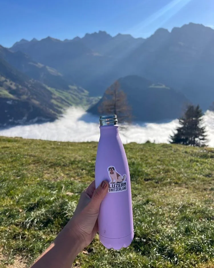 We love to see our stickers in the mountains! 🏔️💜

#Lucerne #MountainPilatus #travelmemories