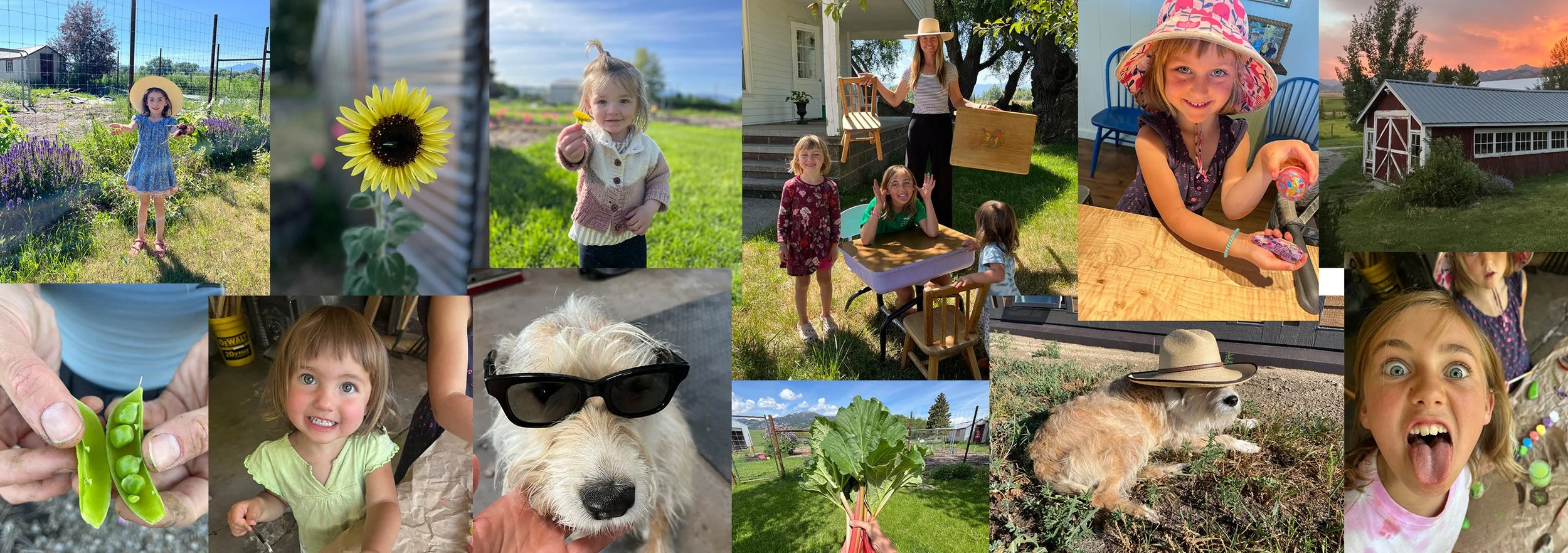 Farm School Fridays