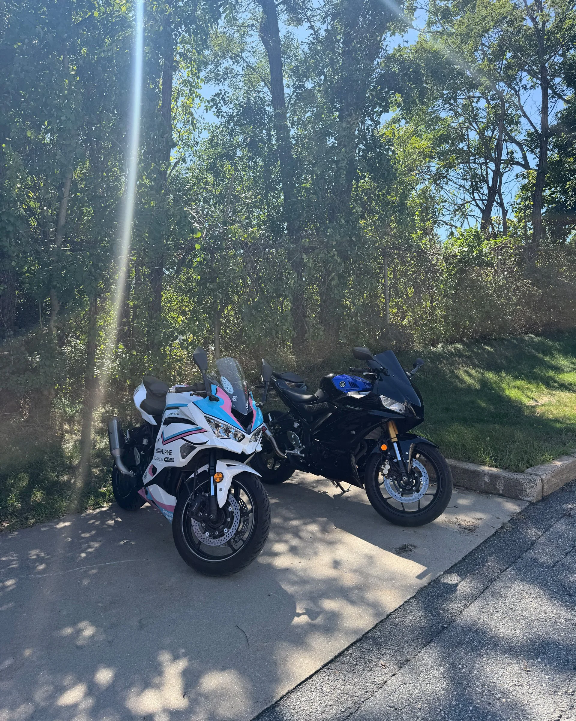A Pause Between Rides — Two sport motorcycles, one with white, pink and blue bodywork, are parked beside sunlit trees.