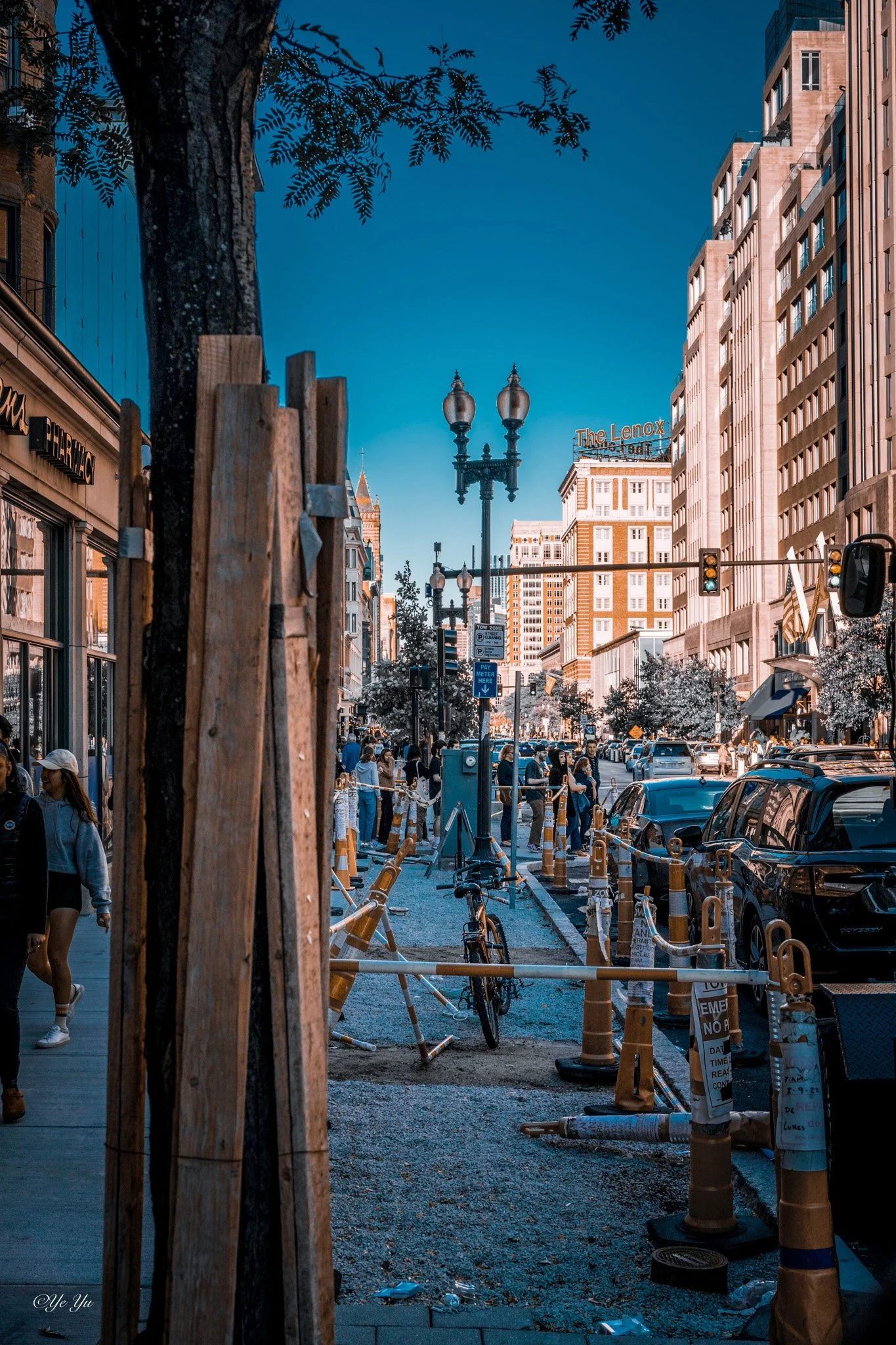Back Bay in Blue — A tree-lined Boston street with a bicycle, ornate lamps, and the Lenox sign beneath a blue sky.
