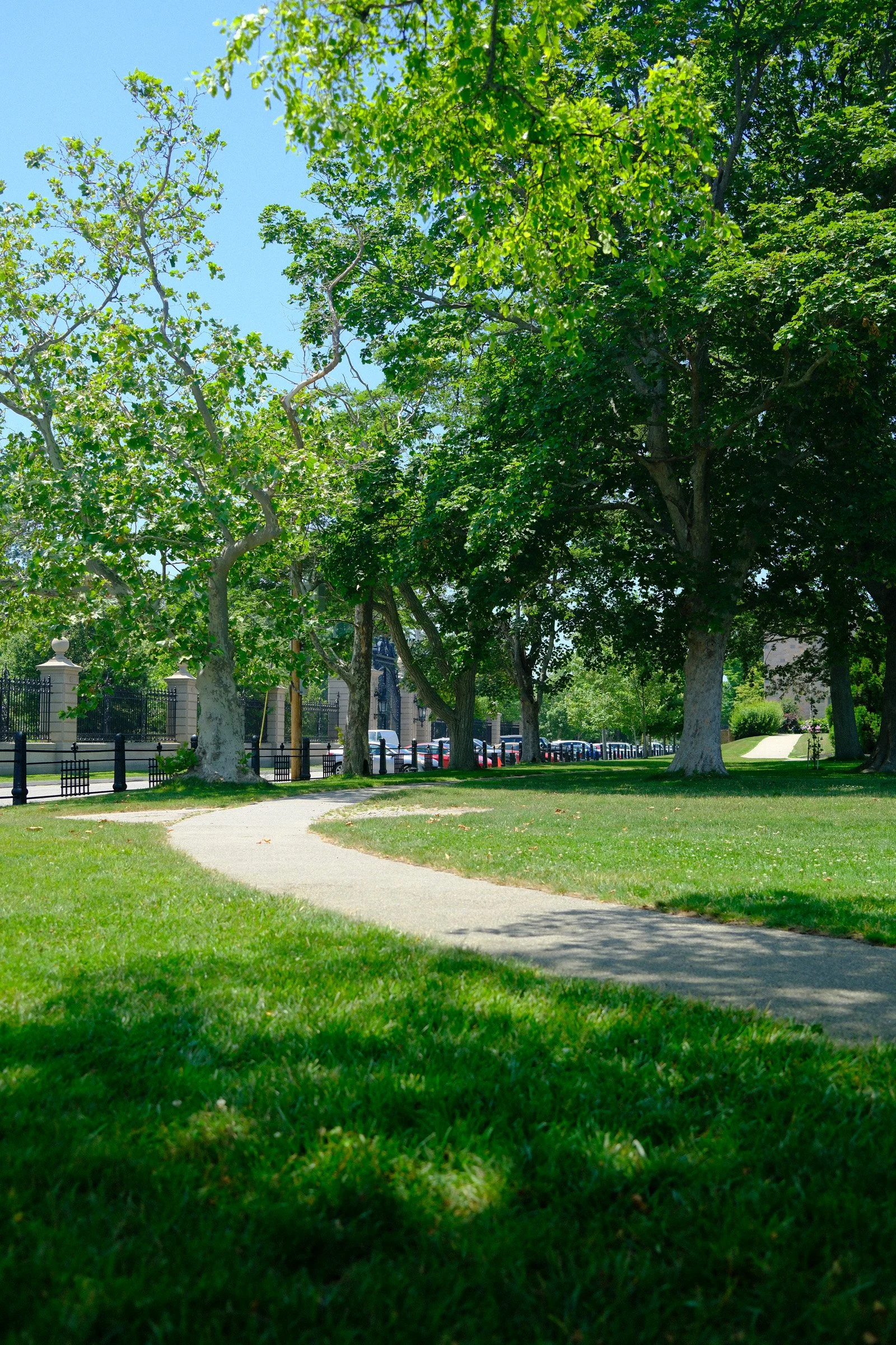 Under the Canopy — A curving pale path runs through green lawns beneath mature leafy trees.