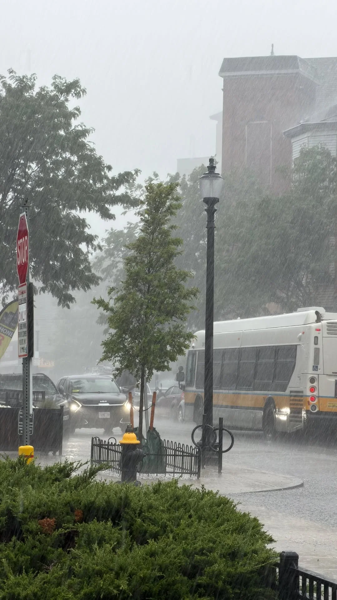 City in the Rain — Heavy rain falls across a city street with a bus, glowing headlights, and a tall black streetlamp.