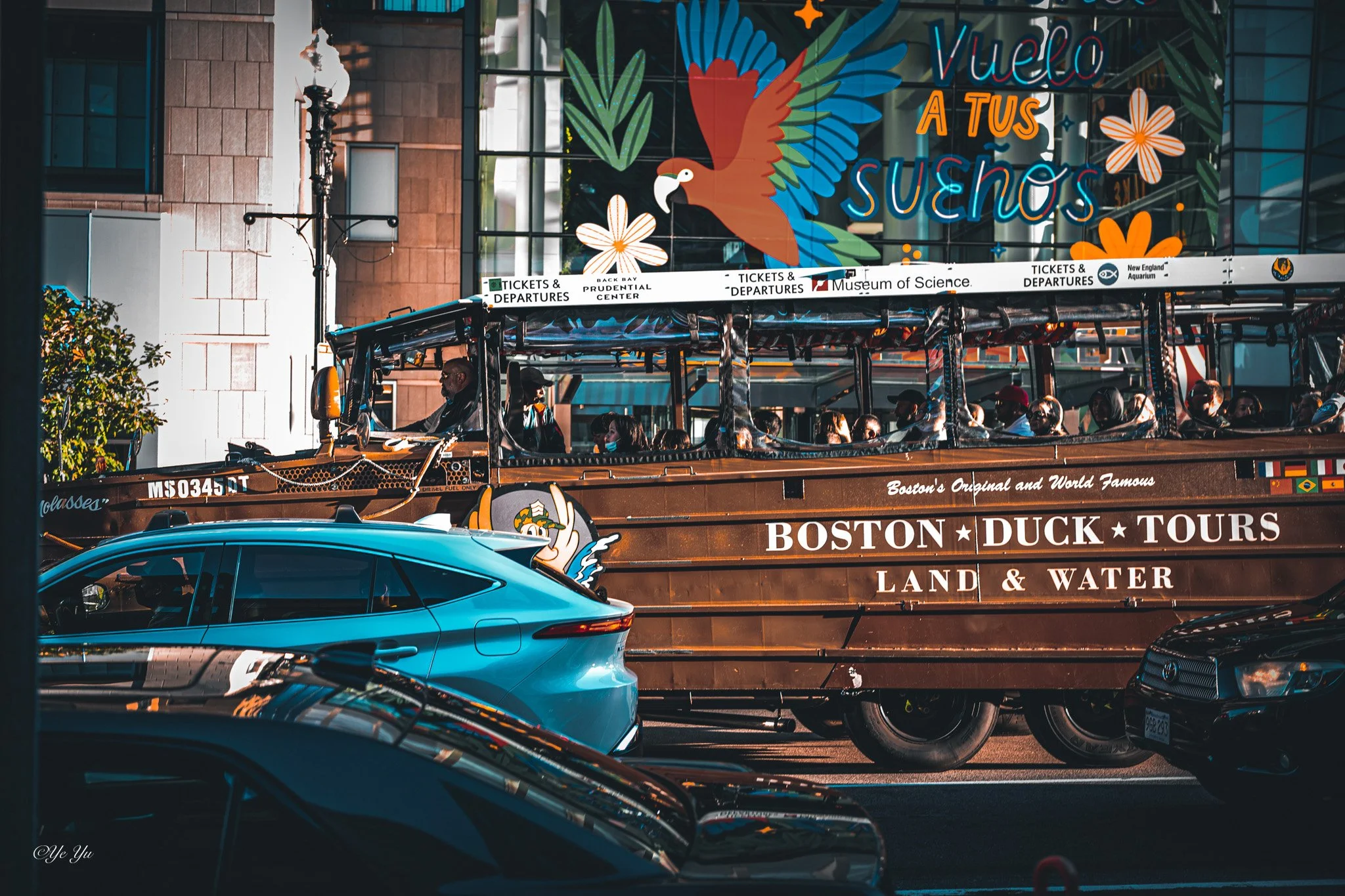 Boston in Motion — A Boston Duck Tours vehicle and blue car pass a colorful bird mural in afternoon light.