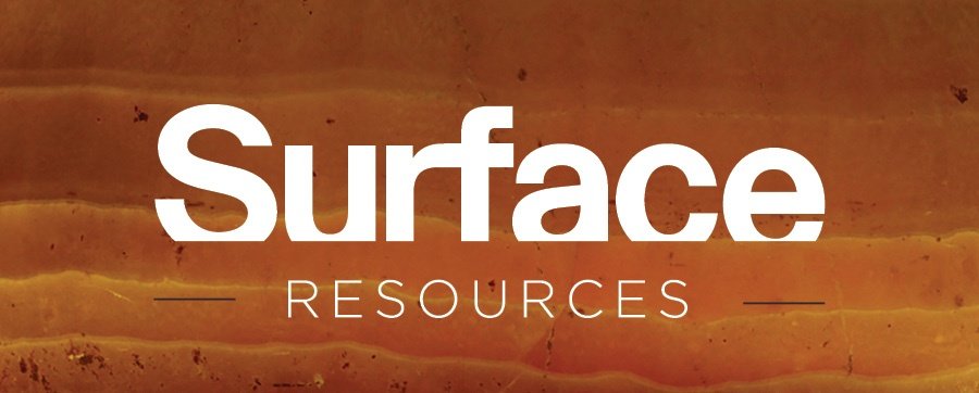 SurfaceResources_Digital_Bug_Horizontal_Image_Knockout.jpg