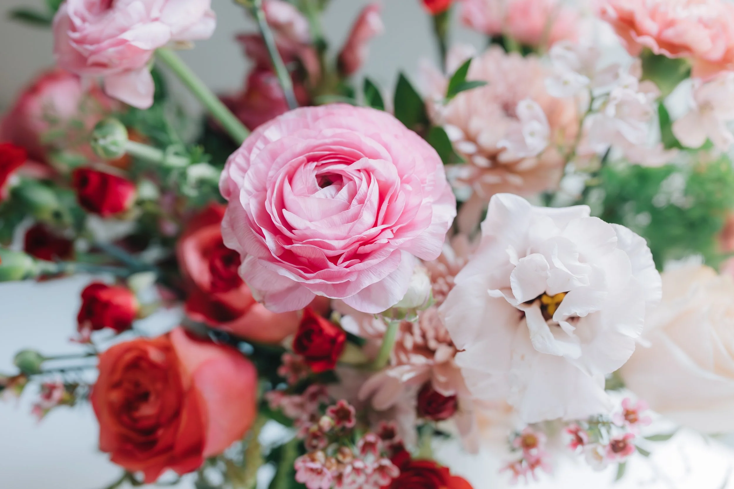 ValentinesDay26-7 (1).jpg