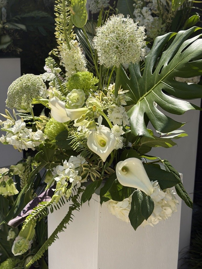 Image (56).jpg