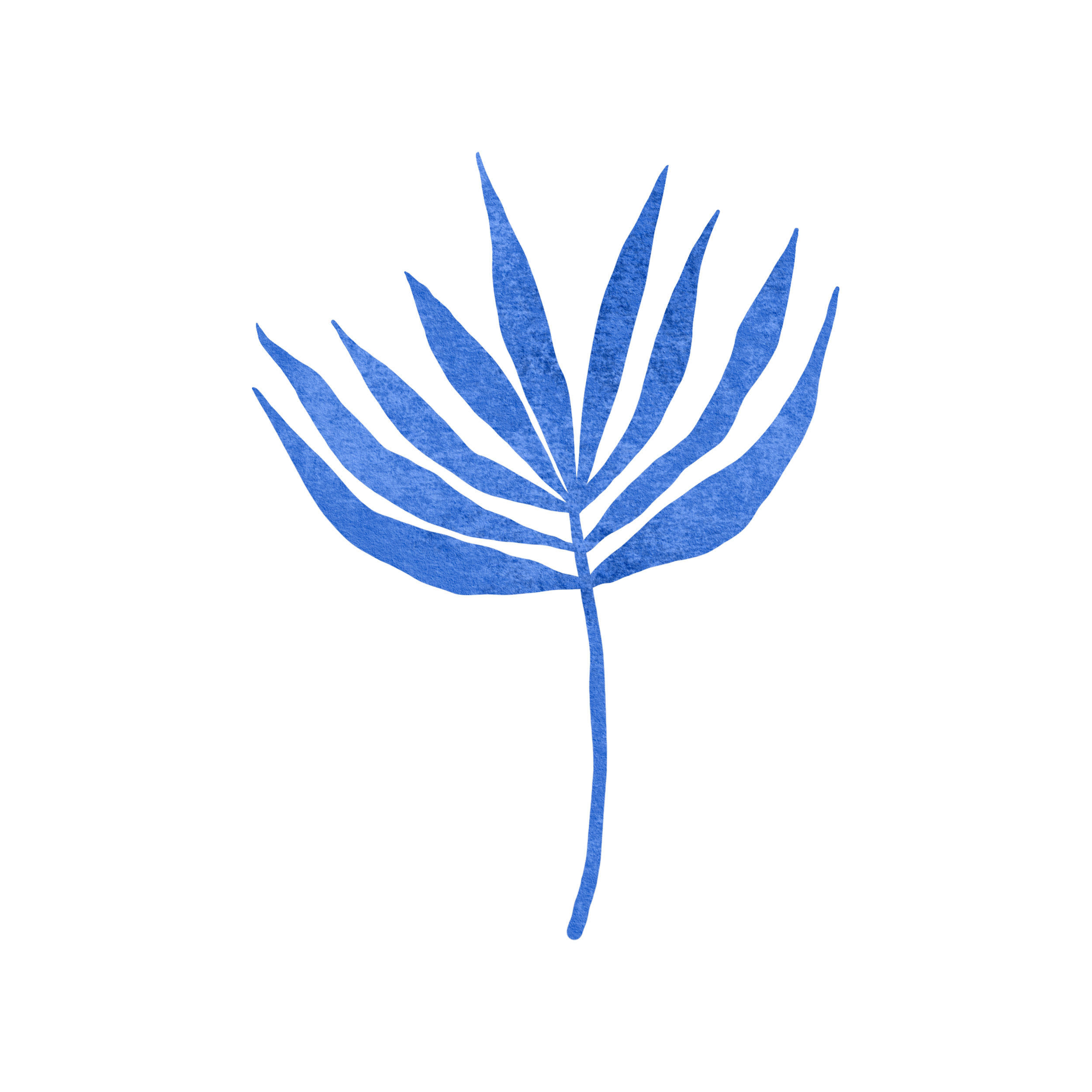 Mediterranean blue plant .png