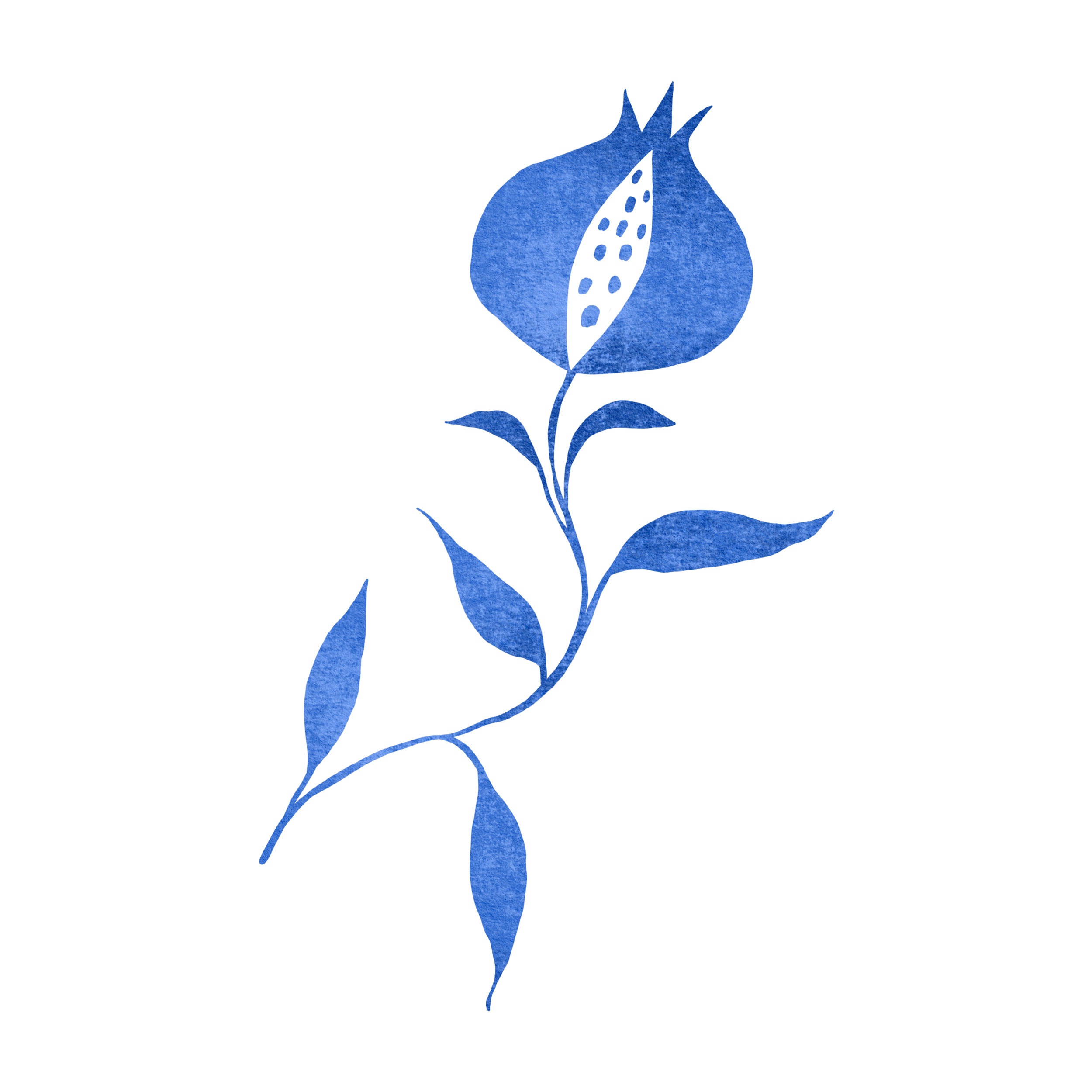 Mediterráneo-illustration-flower.png