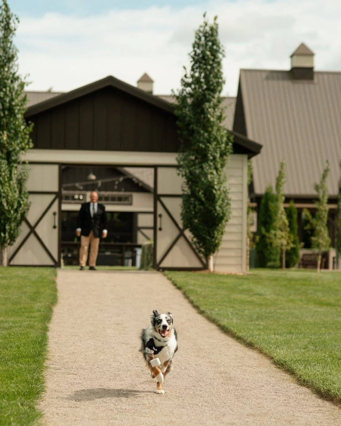 Love, laughter, and a wagging tail 🐾🤍
Some of our favorite wedding moments at Twin Gables include your four-legged best friends. Whether they&rsquo;re part of the ceremony or just there for cuddles and photos, it makes the day feel even more specia