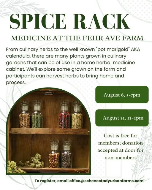Spice Rack & Medicine Cabinet @ Fehr Avenue Farm