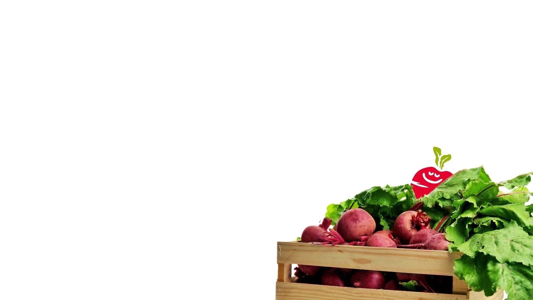 News — Electric City Community Grocery