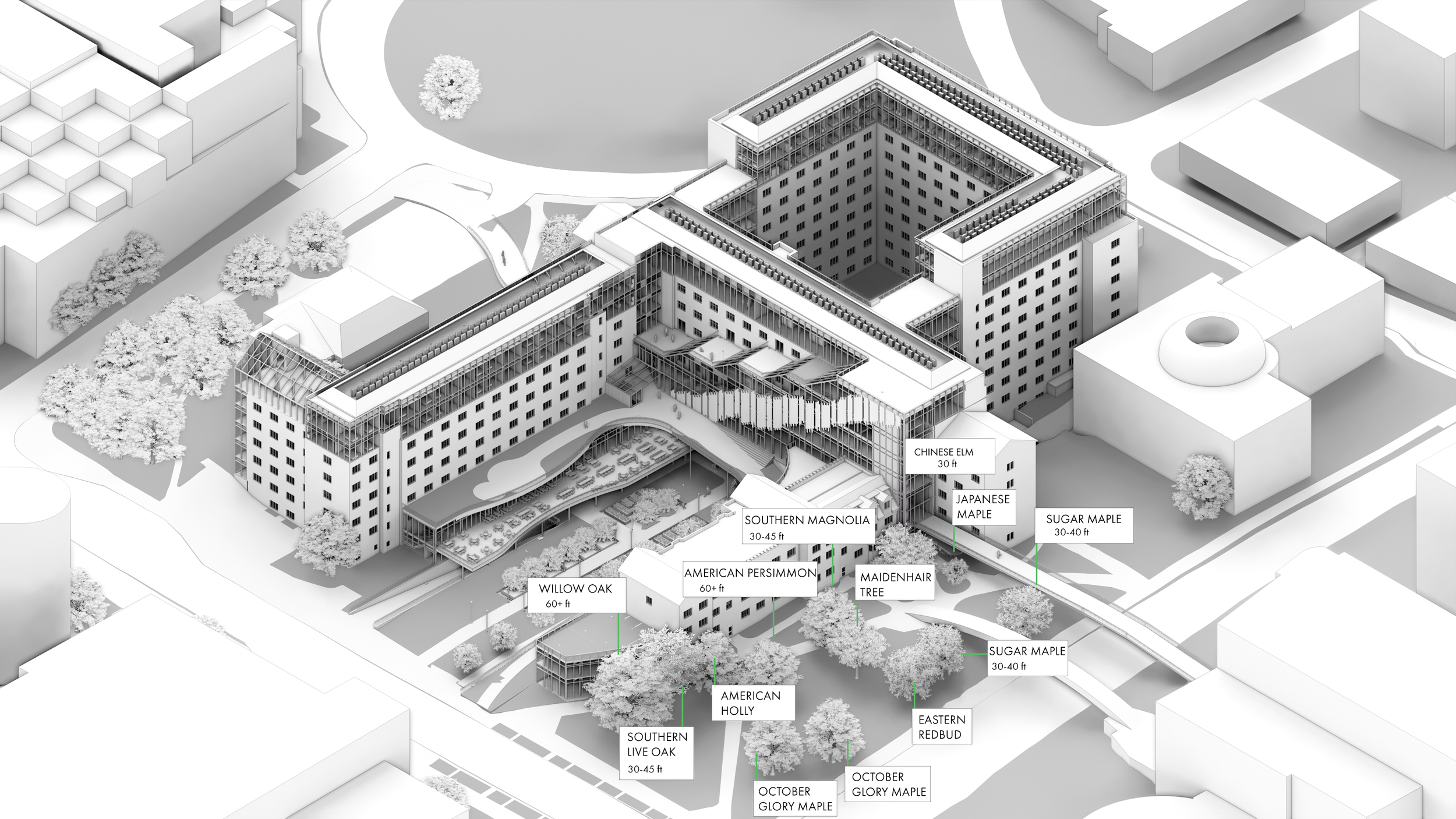 This image highlights the historic trees surrounding the site. An important aspect of this project was the preservation of not only the building itself, but also the surrounding landscape.