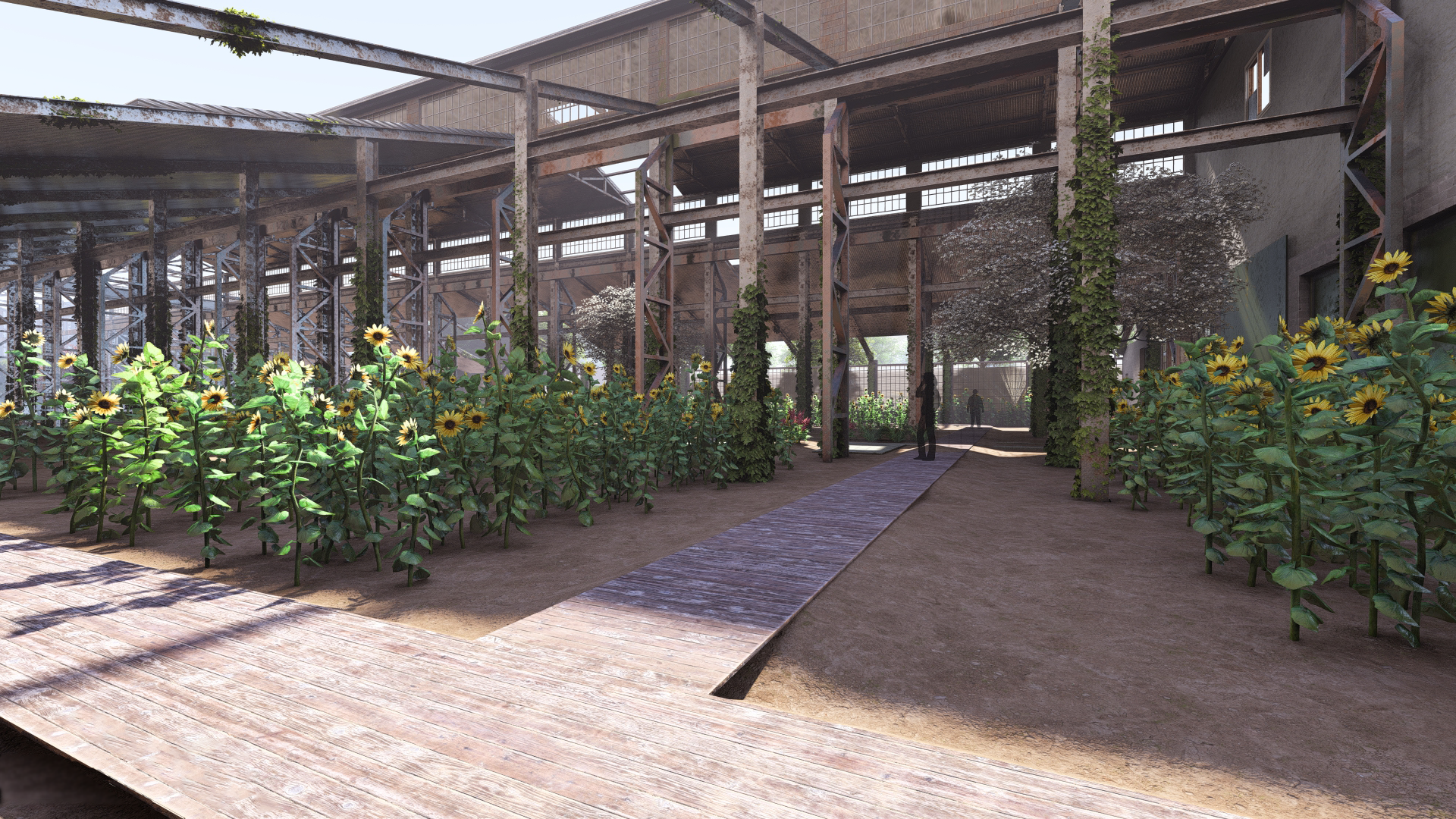 Sunflower Fields - Warehouse