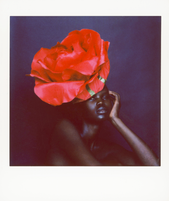 Screen Shot 2025-01-06 at 1.41.06 PM.png