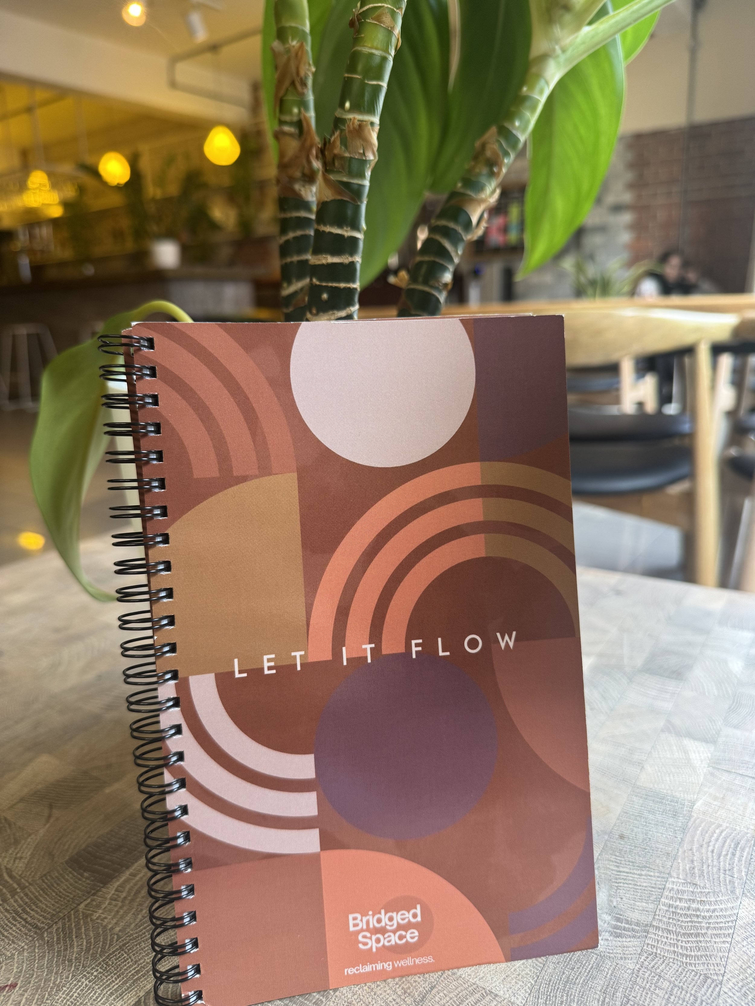Let it Flow Notebook