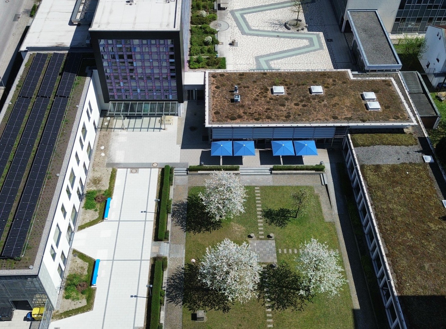 anbau2026_8_11.jpg