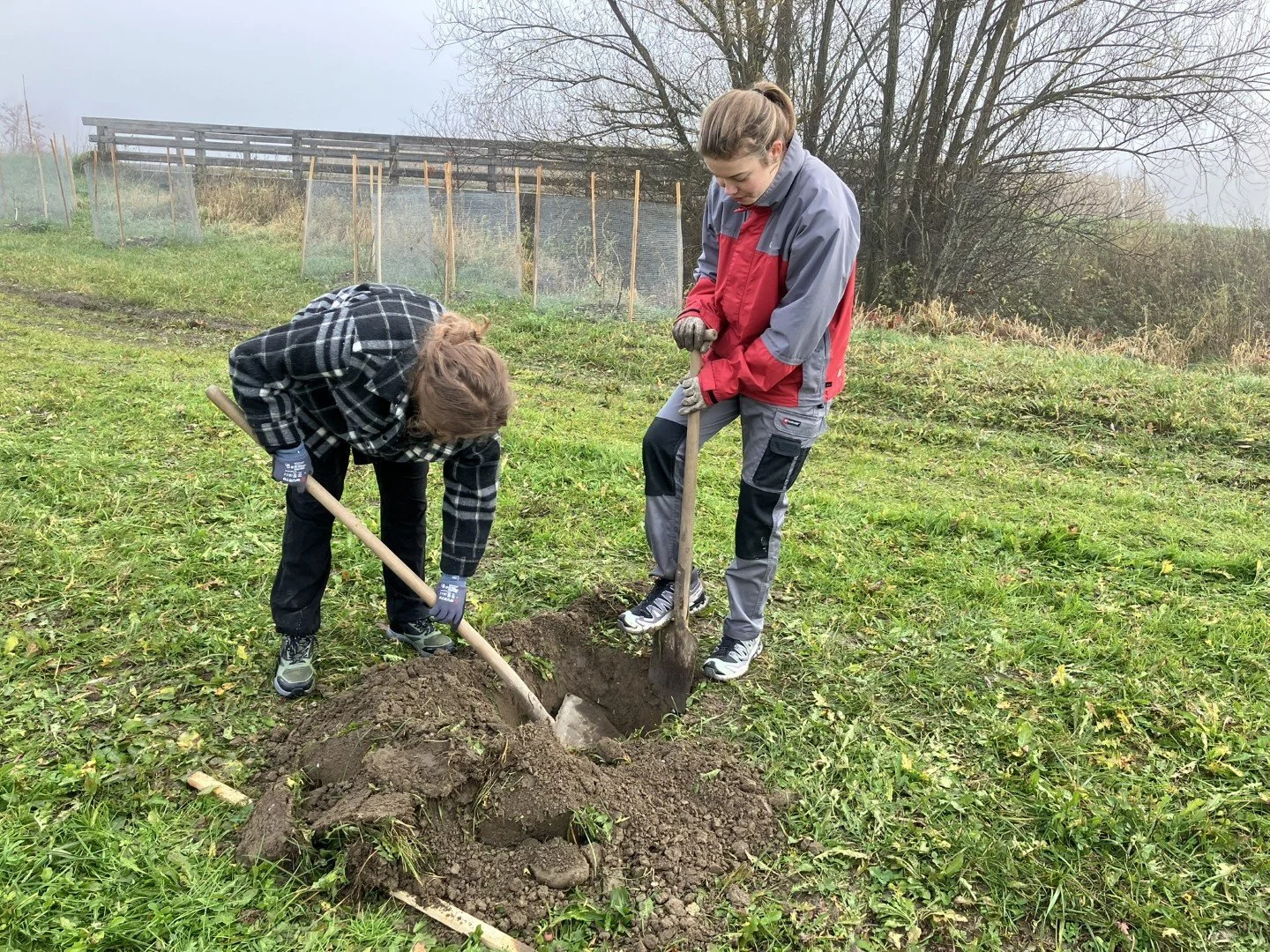Erneute Baumpflanzaktion – Gemeinsam für die Streuobstwiese