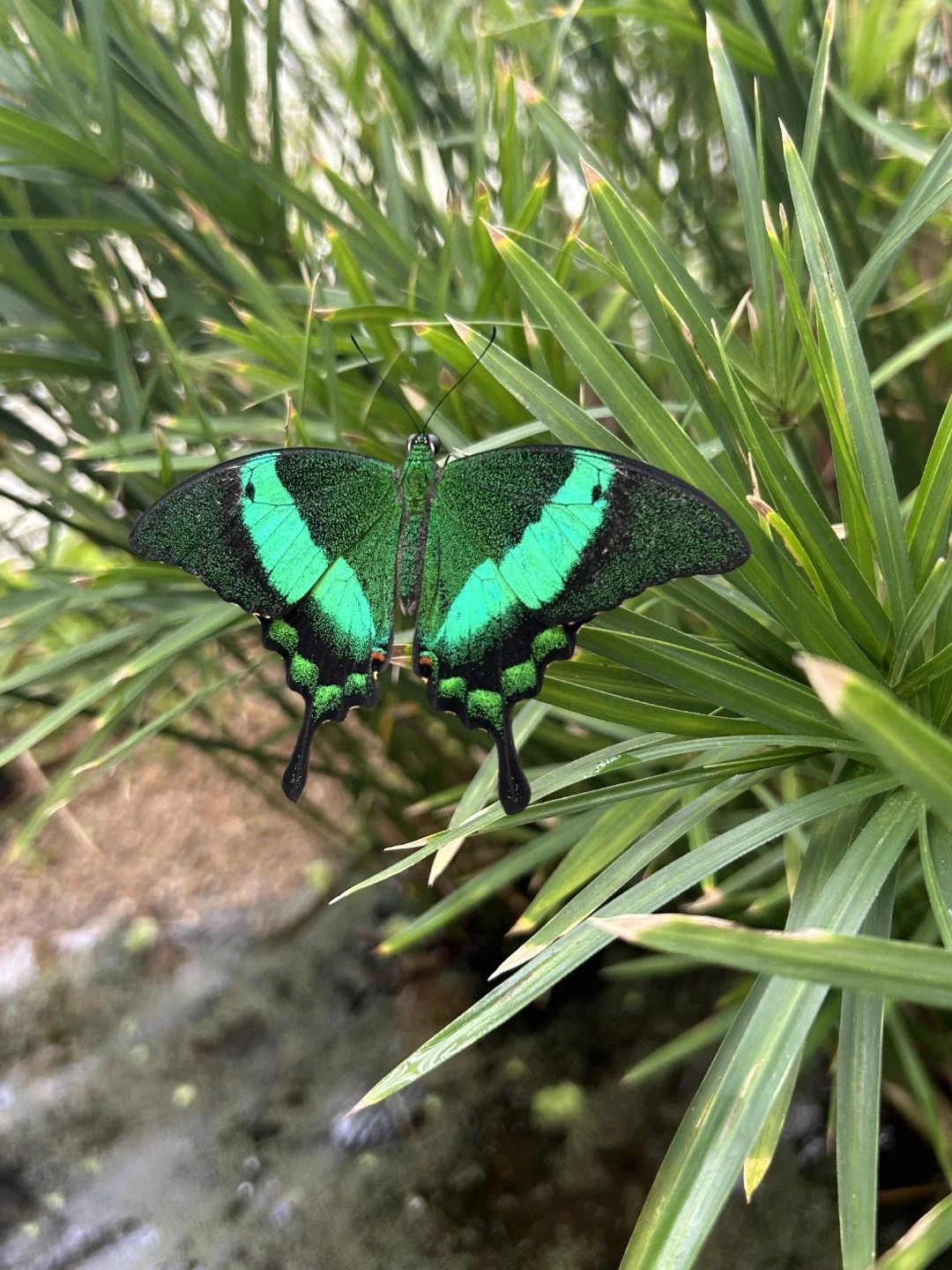 Bild-20260304-104453-1ef39b2a 1.jpeg