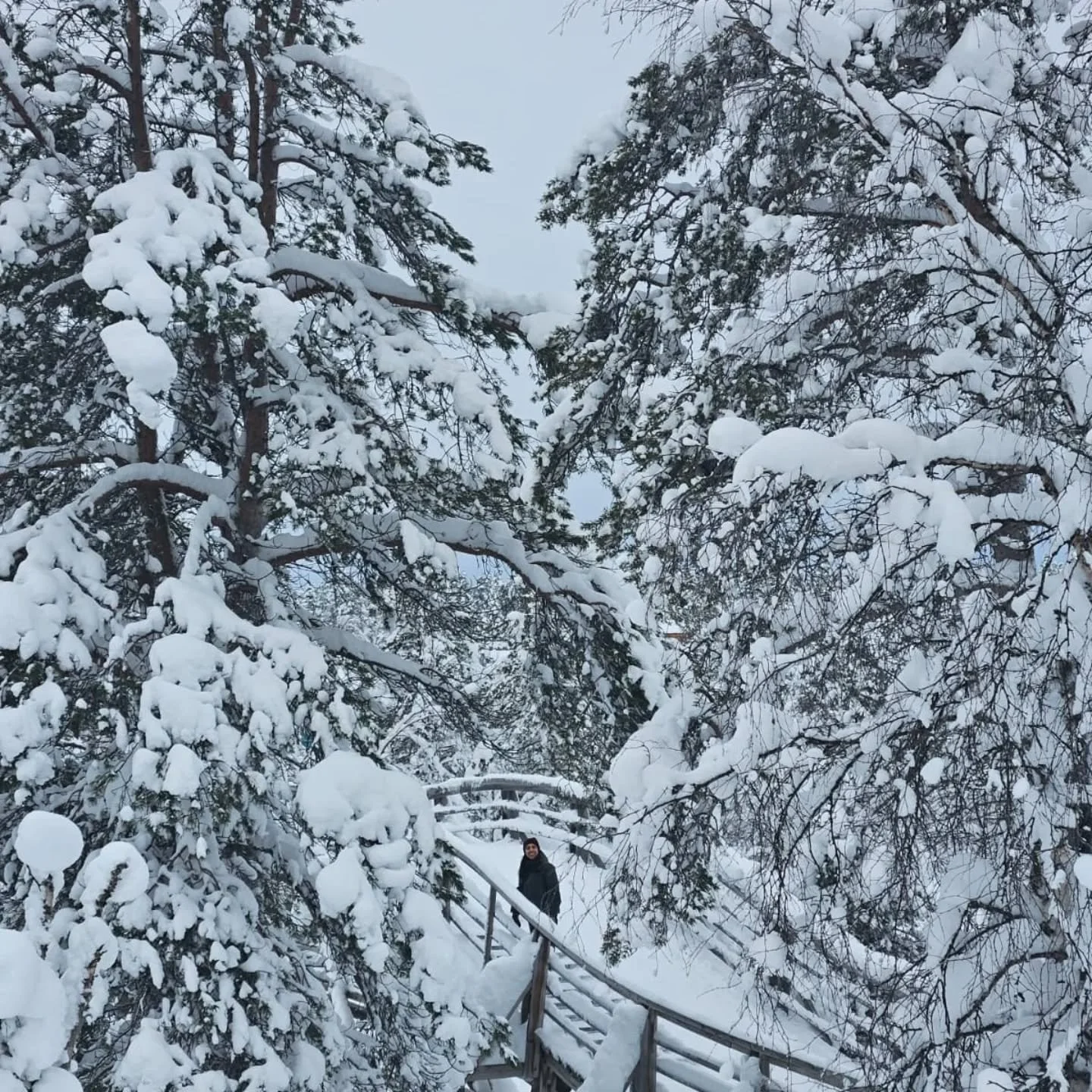 I've never really connected with the word 'bucket list' 🤔

I just do the things I want to do, if and when I can. And if that desire fizzles out before I get to do it, I guess it wasn't meant to be 🤷🏽&zwj;♀️

But when I think about *this* dream of 