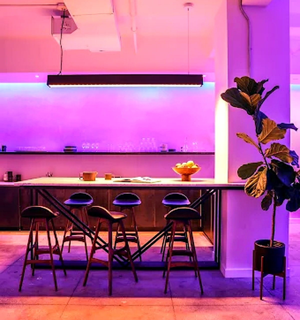 A contemporary kitchen with purple and pink LED lighting, a countertop with bar stools, a large leafy potted plant, and a bowl of lemons.